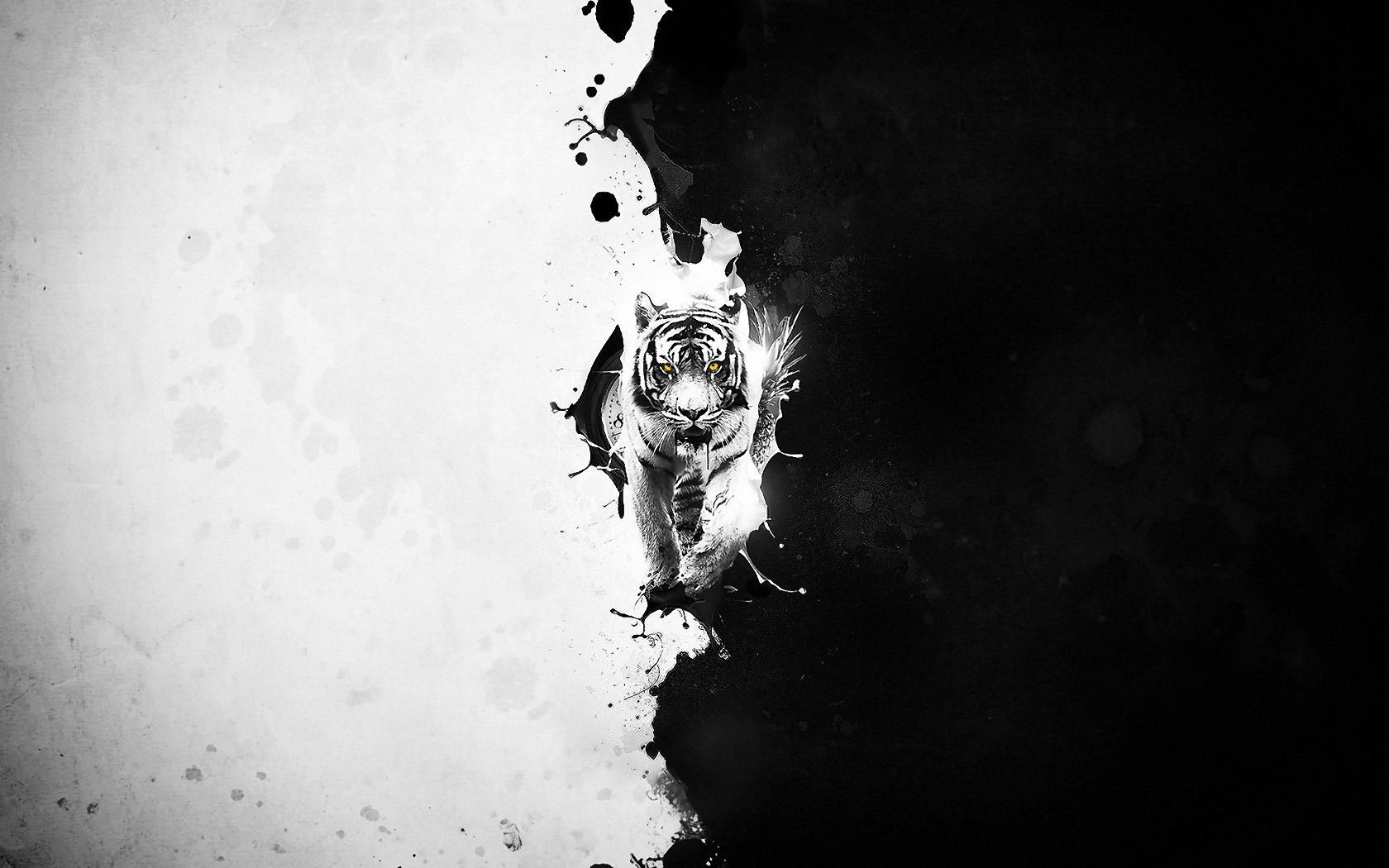 Black And White Tiger Wallpaper HD Wallpaper