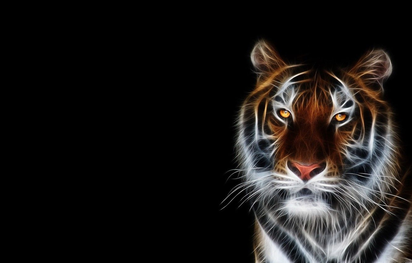 Wallpaper face, tiger, Wallpaper, black background image for desktop, section рендеринг