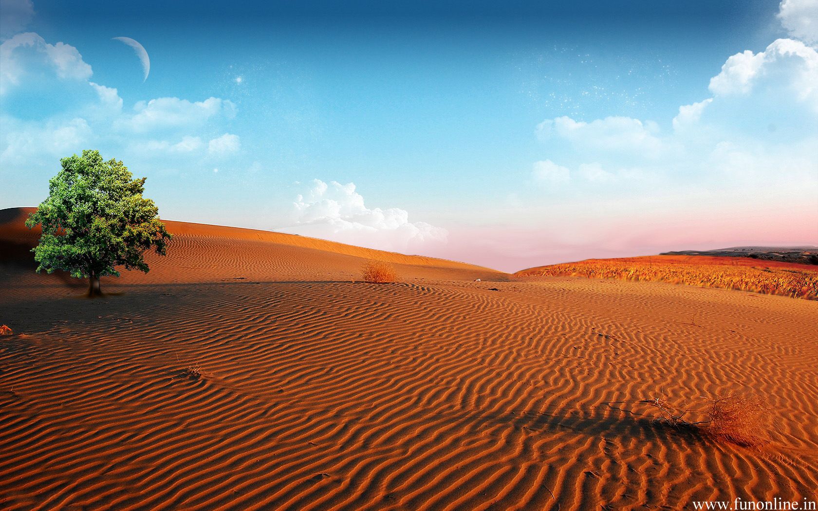 Sandy Desert