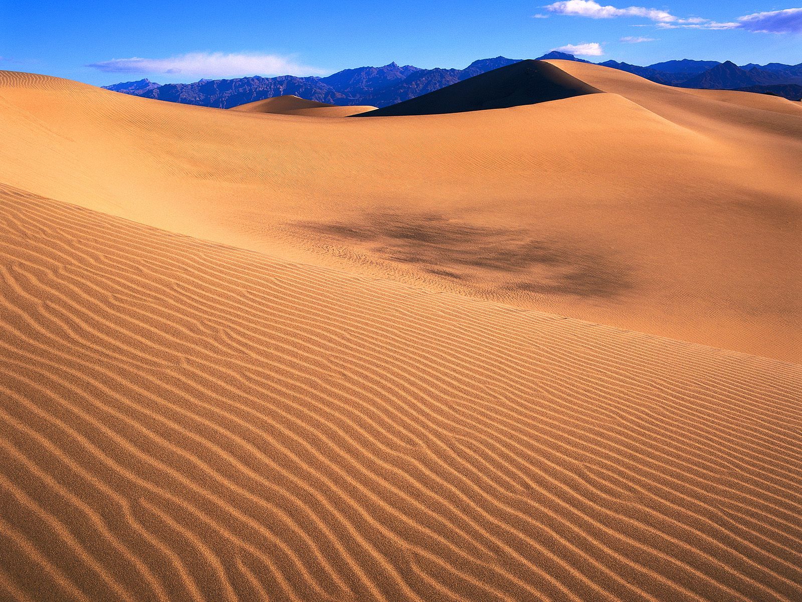Wallpaper Sand Usa California Dune Desert Sand Dunes HD Wallpaper