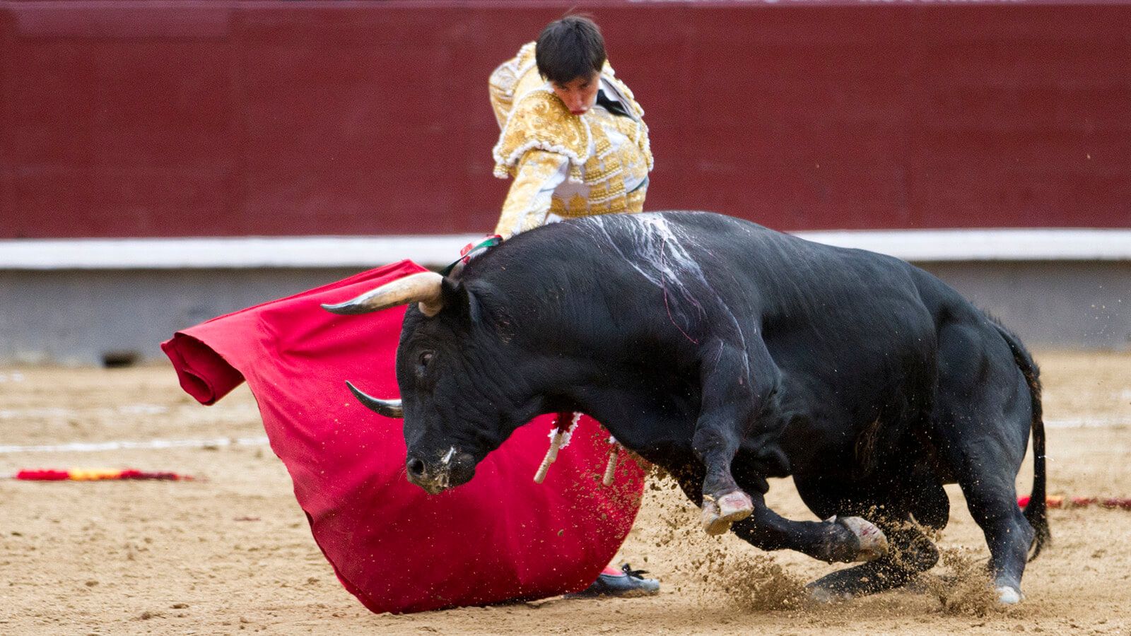 Spanish-style Bullfighting Wallpapers - Wallpaper Cave