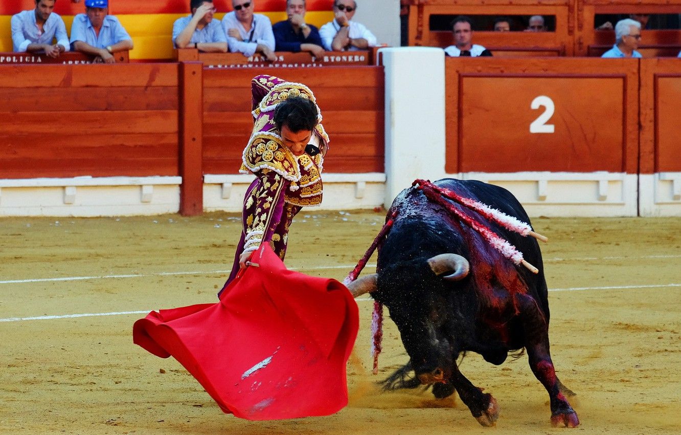 Spanish-style Bullfighting Wallpapers - Wallpaper Cave