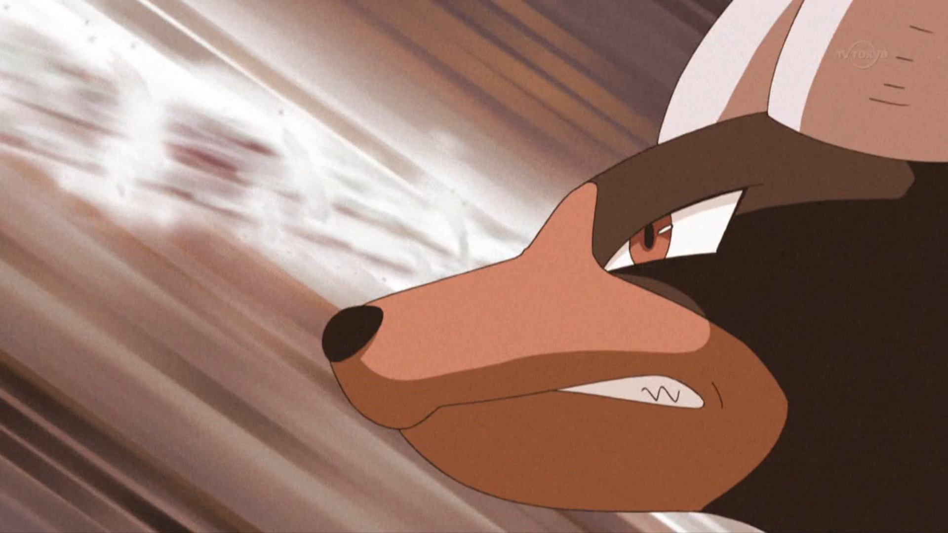 Ultra Rangers' Houndoom. Pokémon