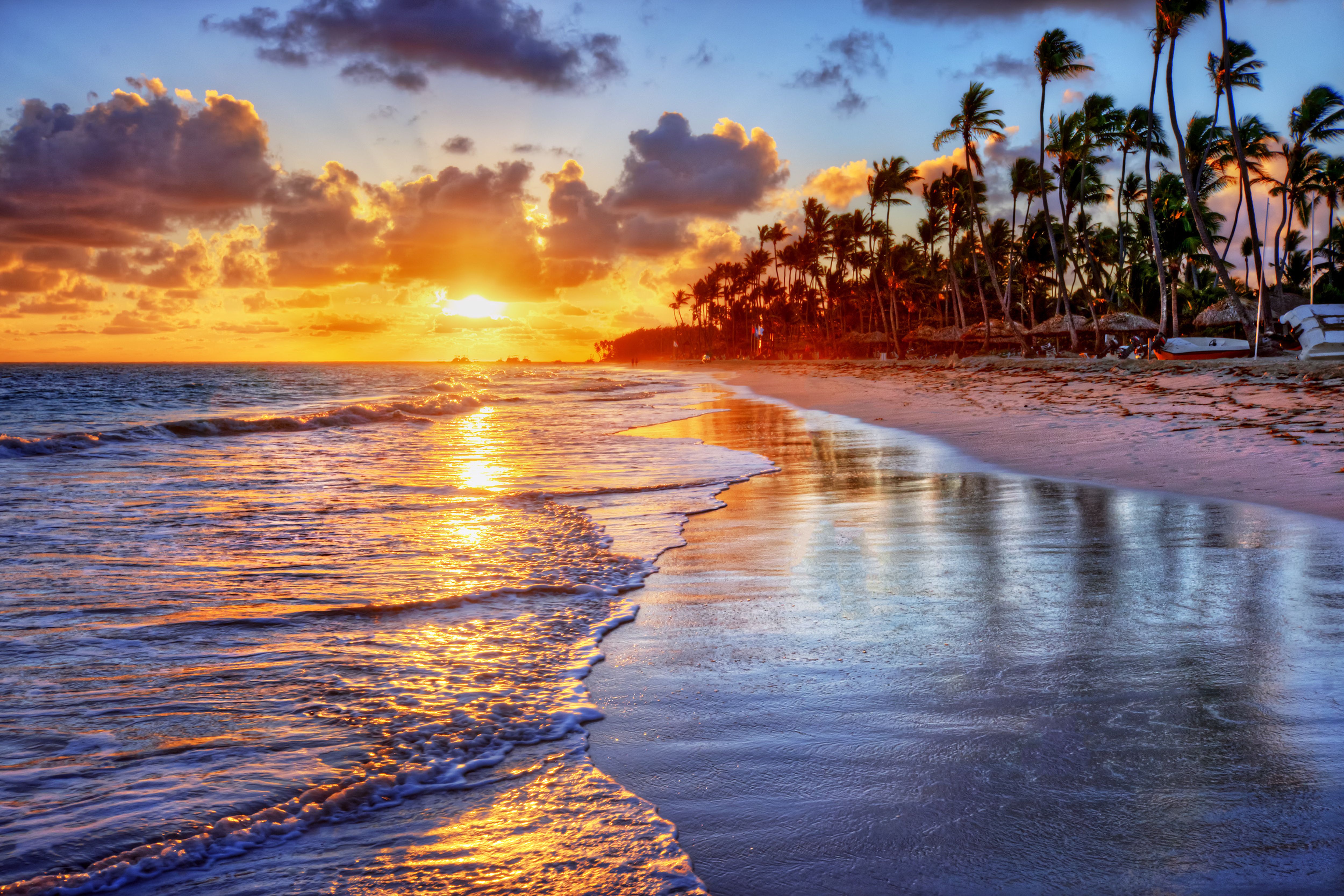 Wallpaper. Sammer. photo. picture. sunset, coast, palm trees, the beach, clouds