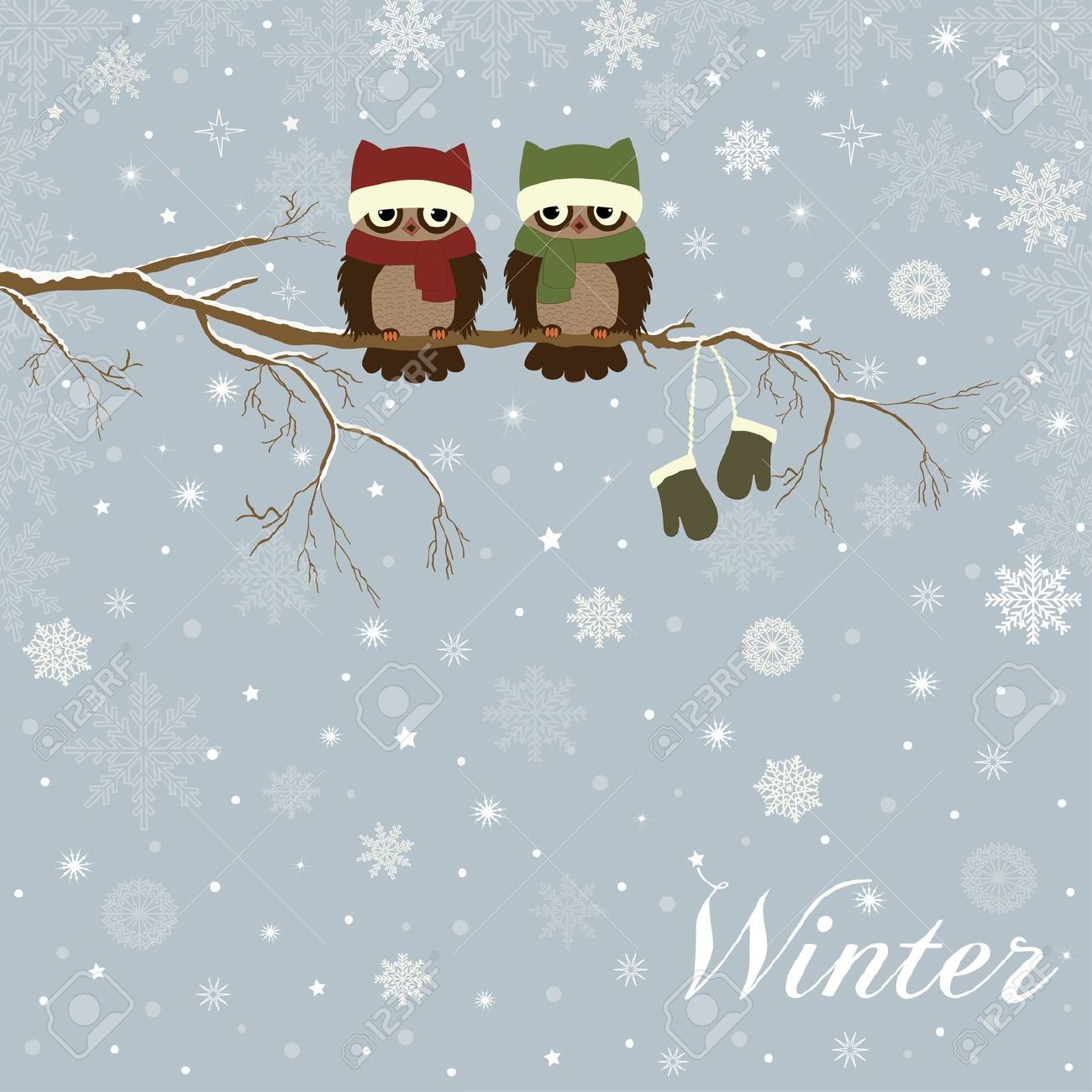 Cute Winter Owl Wallpaper Free Cute Winter Owl Background