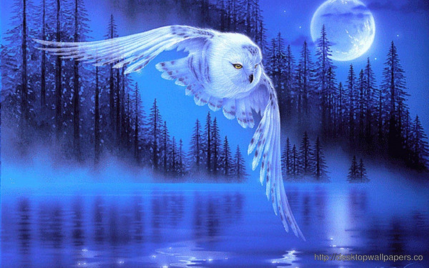 Winter Owl Desktop Wallpaper