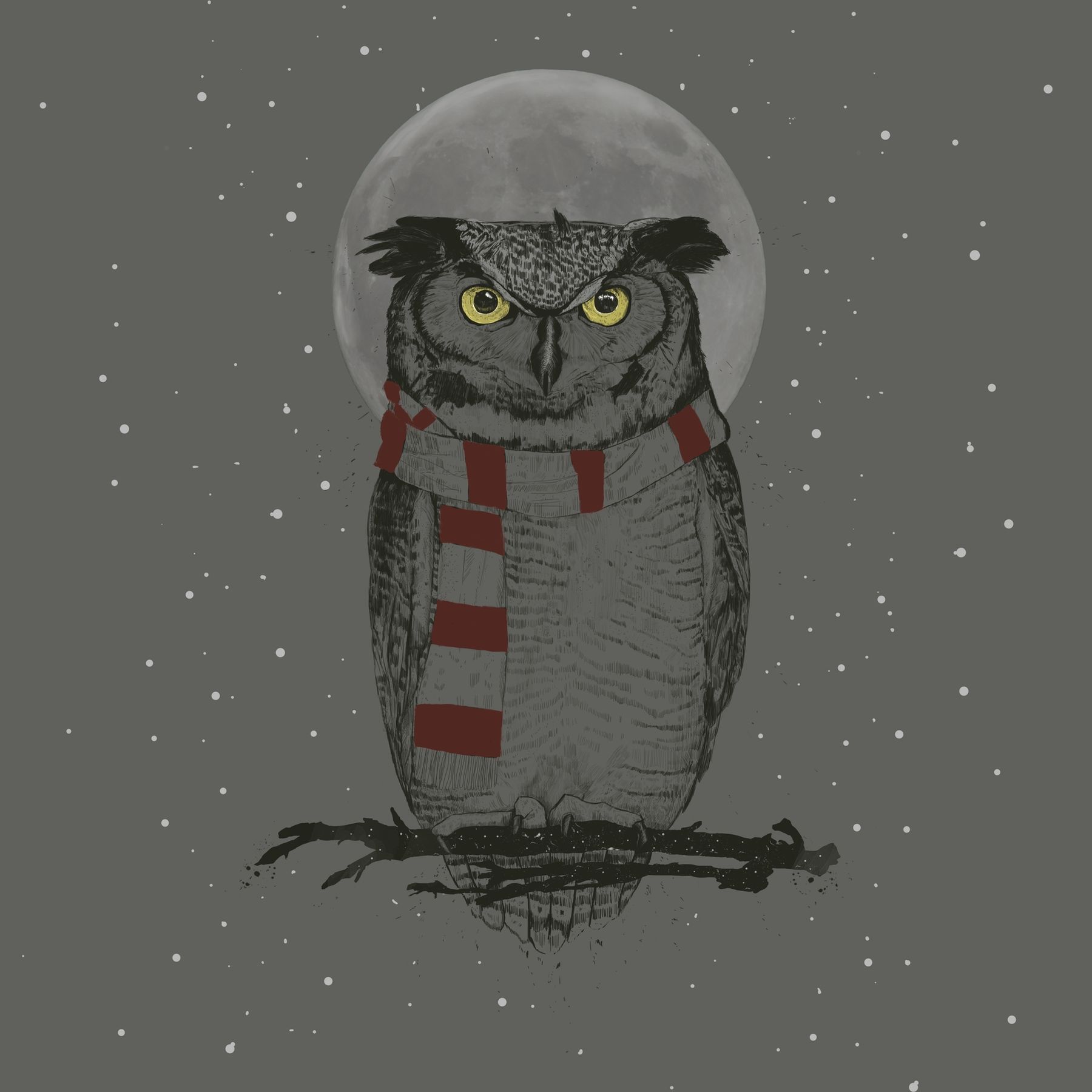 Buy Winter owl wallpaper US shipping at Happywall.com