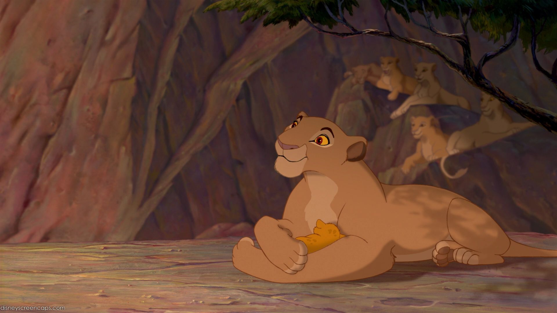 Baby Wallpaper Baby Simba The Lion King