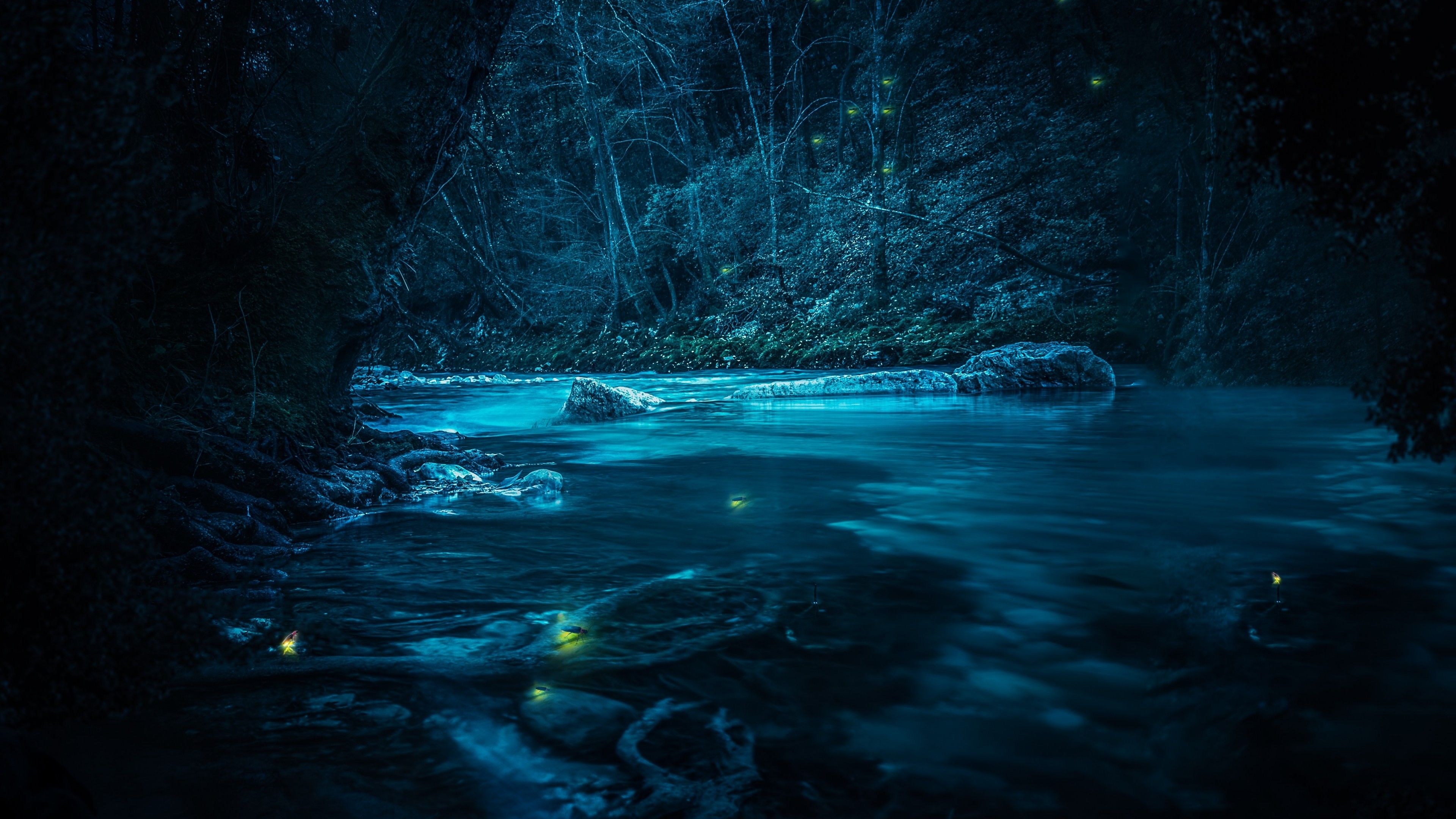 Forest 4K Wallpaper, River, Night, Dark, Magical, Crescent Moon, Blue, Fairies, Nature