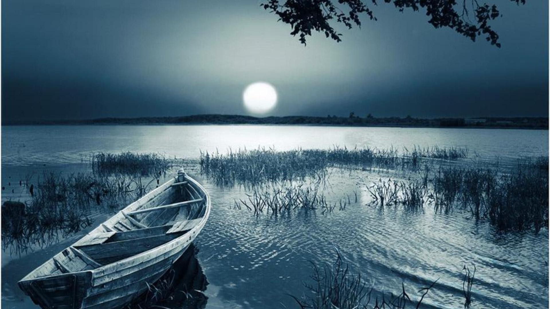 Night, river, reed, boat