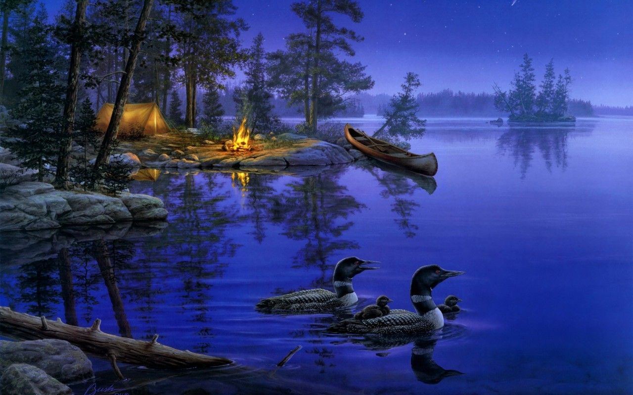 Night In Camp With River In Night Image HD HD Wallpaper