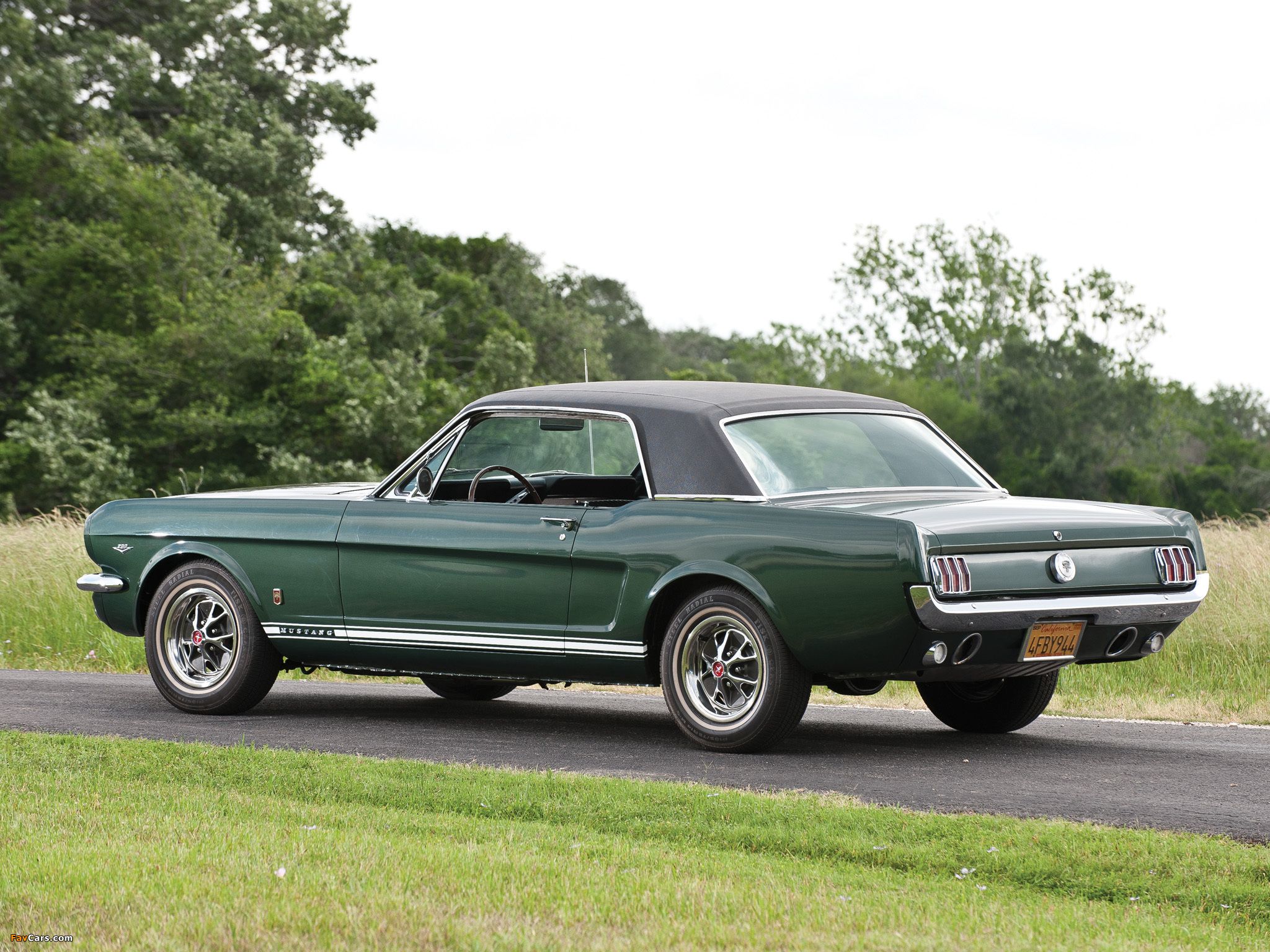 Ford Mustang Picture