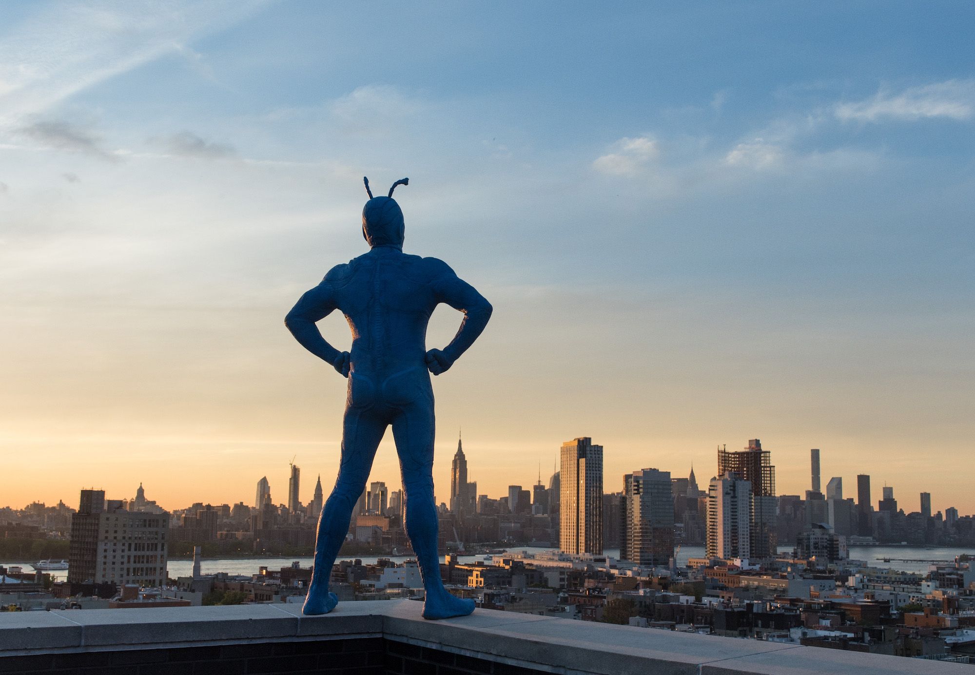 The Tick Amazon, HD Tv Shows, 4k Wallpaper, Image, Background, Photo and Picture