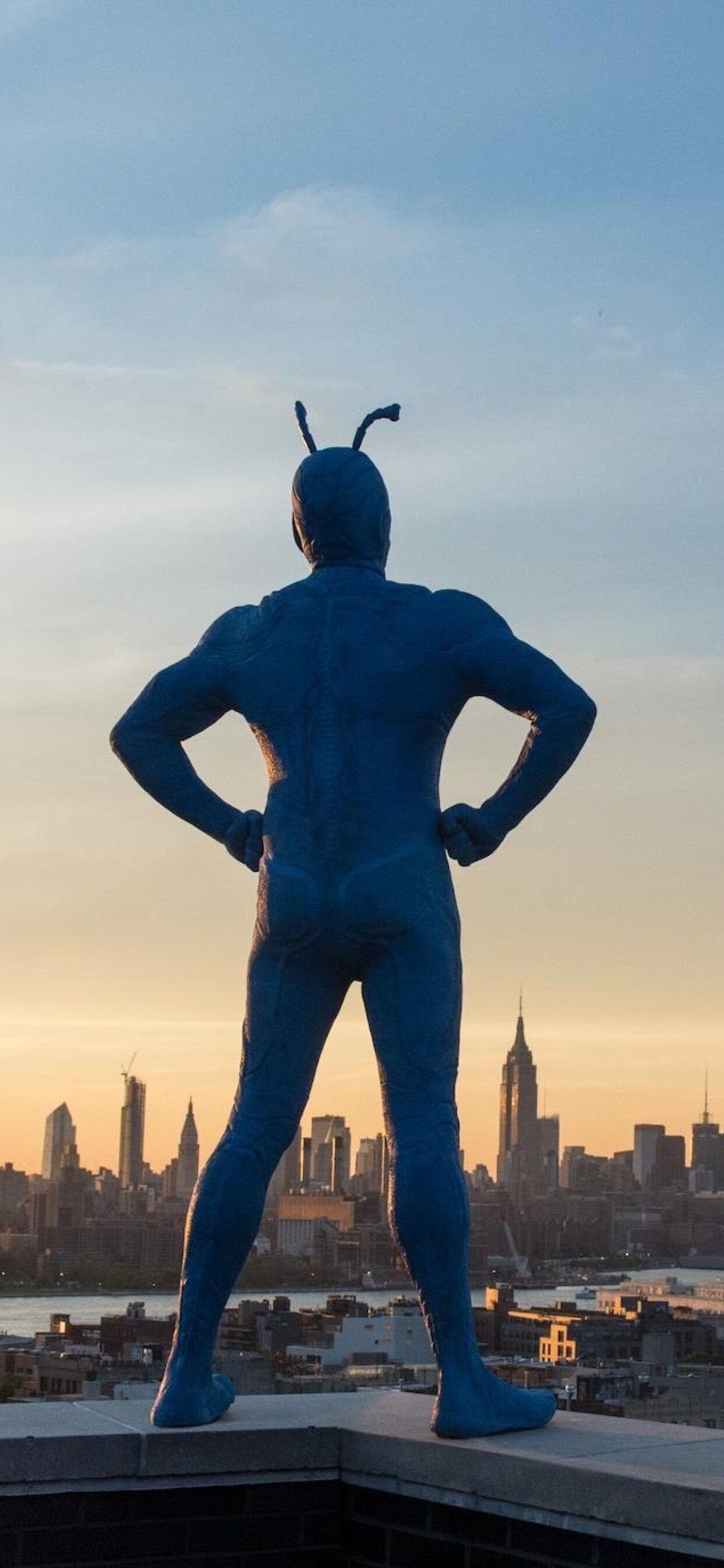 The Tick Amazon iPhone XS MAX HD 4k Wallpaper, Image, Background, Photo and Picture