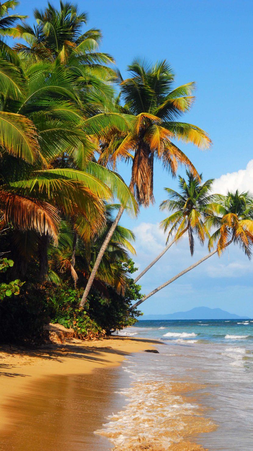 IPhone 6 Plus Culebra Desktop Wallpaper Beach Resolution Transparent PNG