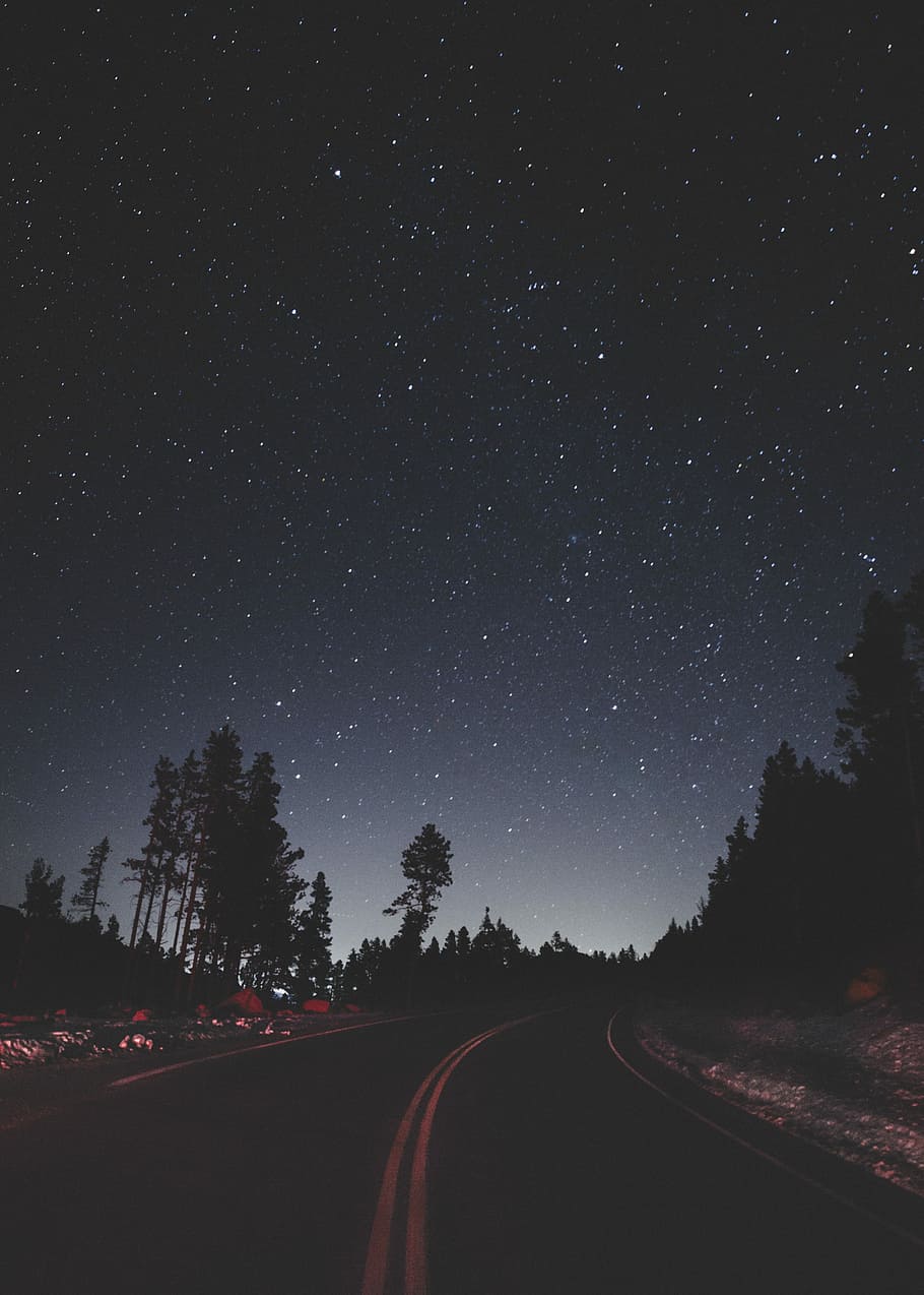 Looking Up, Empty Road Between Trees Under Sky With Aesthetic Road Trip HD Wallpaper