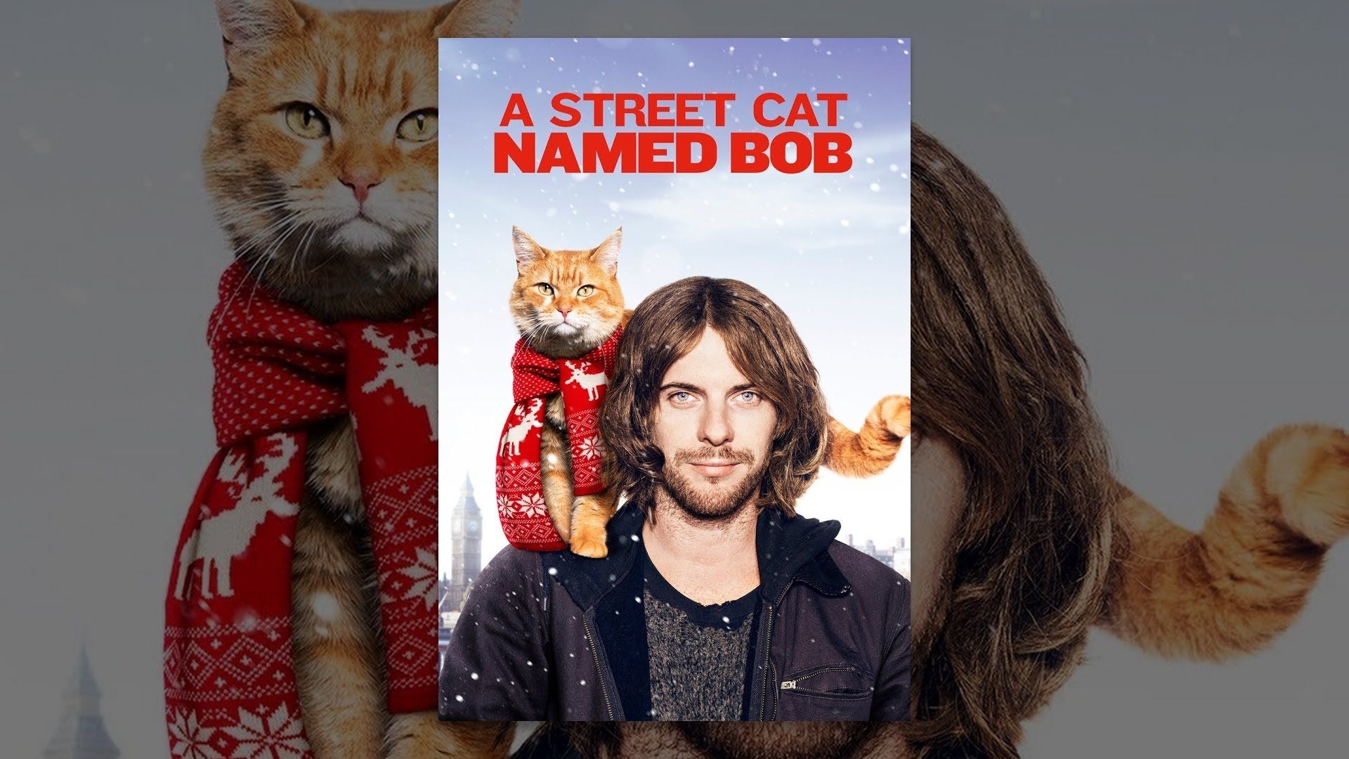 A Street Cat named Bob (2016). Hello street cat петиция остановите