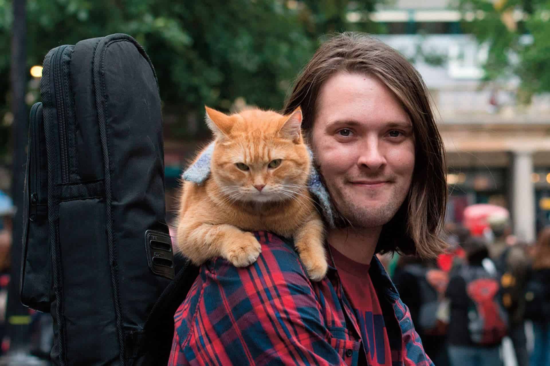 A Street Cat Named Bob 2 lands its director