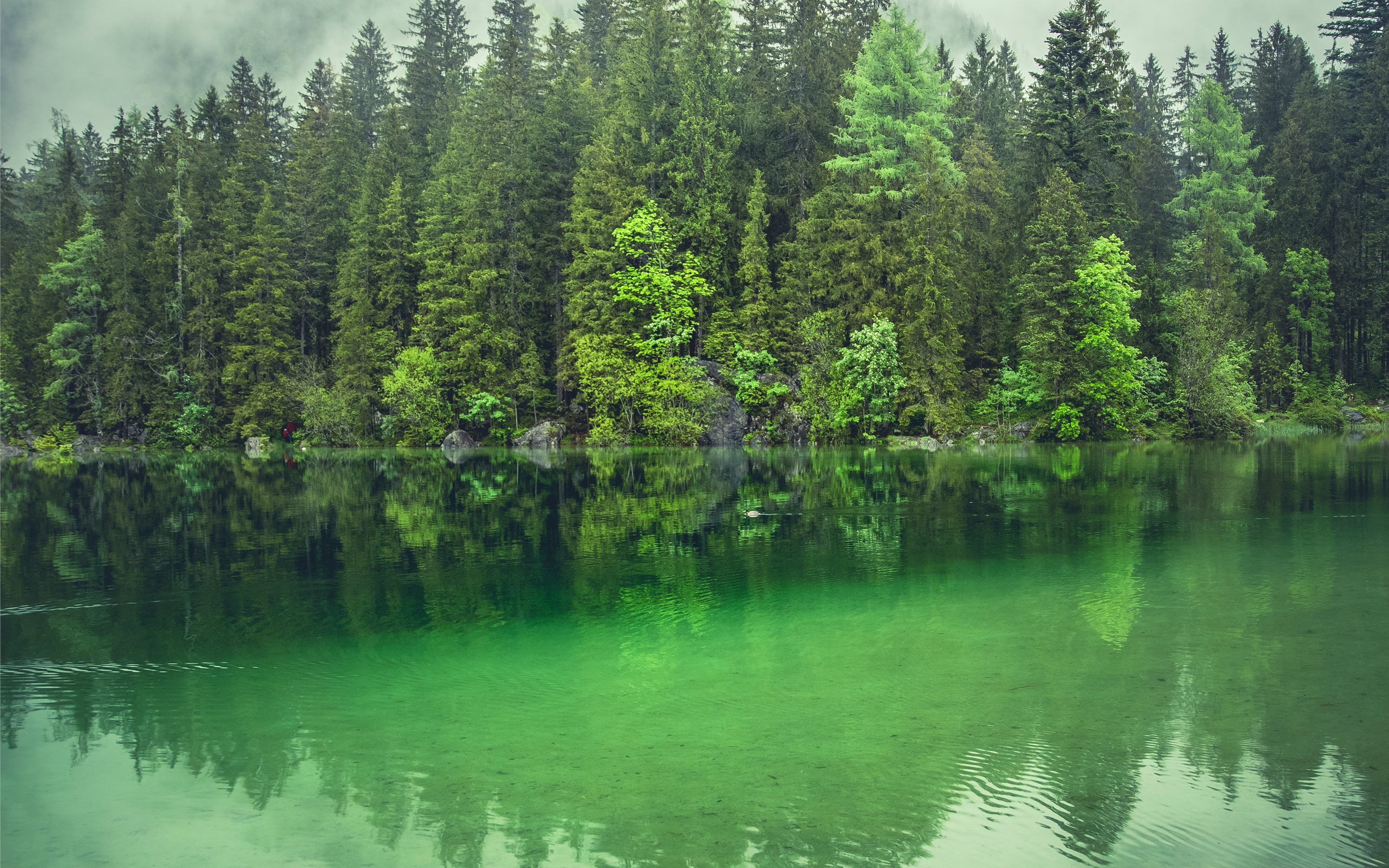 Hintersee, Ramsau. Mac Wallpaper Download