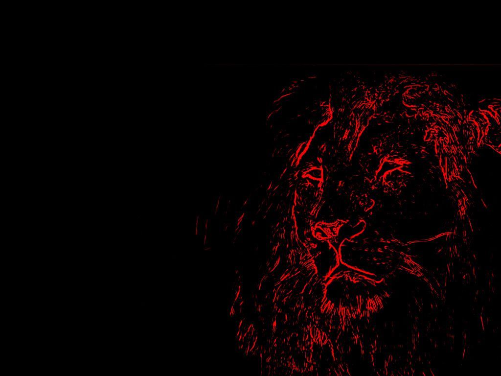 Red Lion Wallpaper Free Red Lion Background