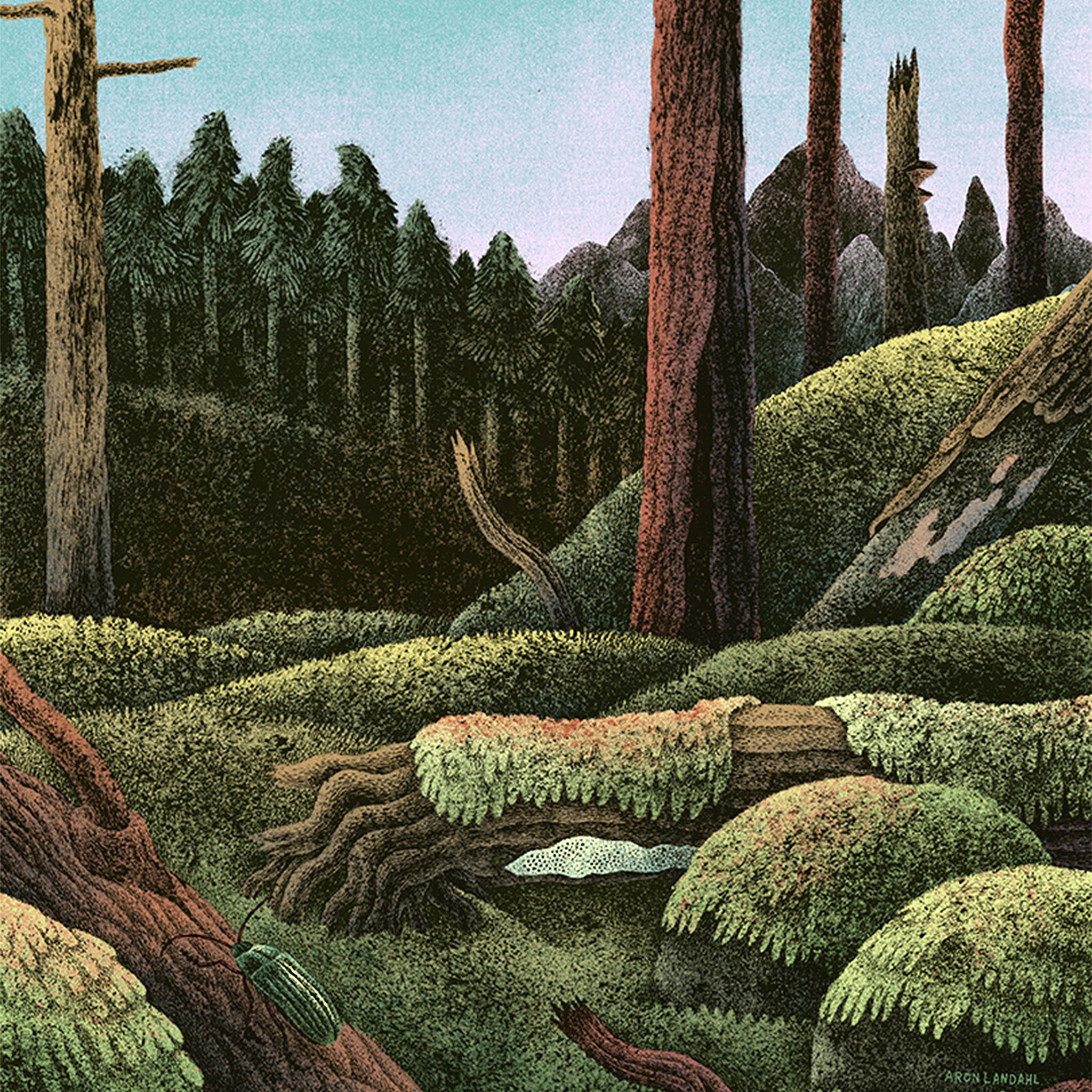 Wood Forest Paint Illustration Art Nature Wallpaper