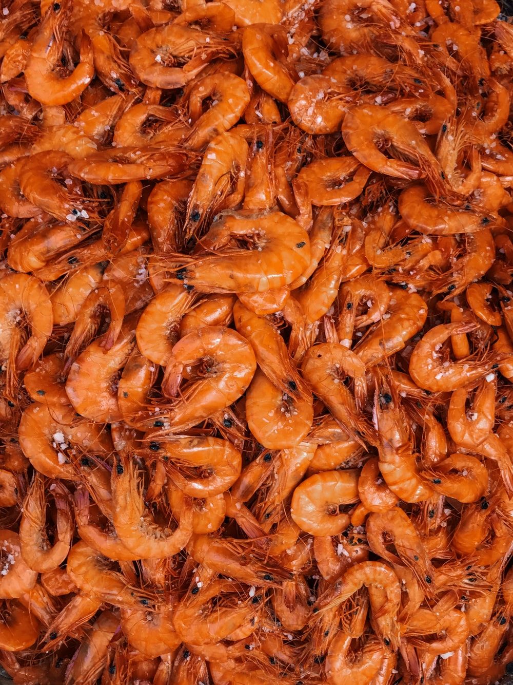 Shrimp Picture. Download Free Image