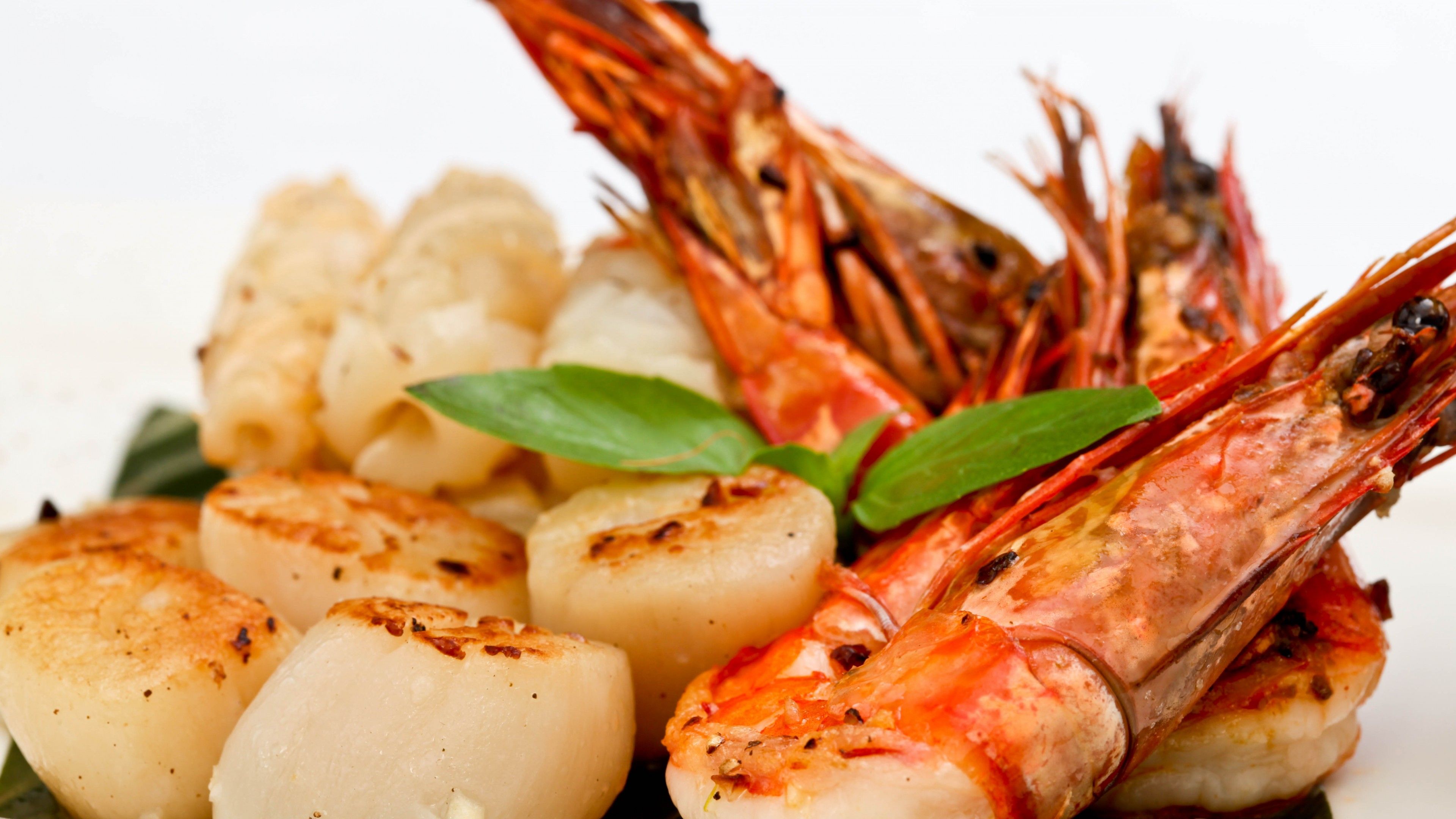 Wallpaper seafood salad, shrimp, scallop, greens, Food