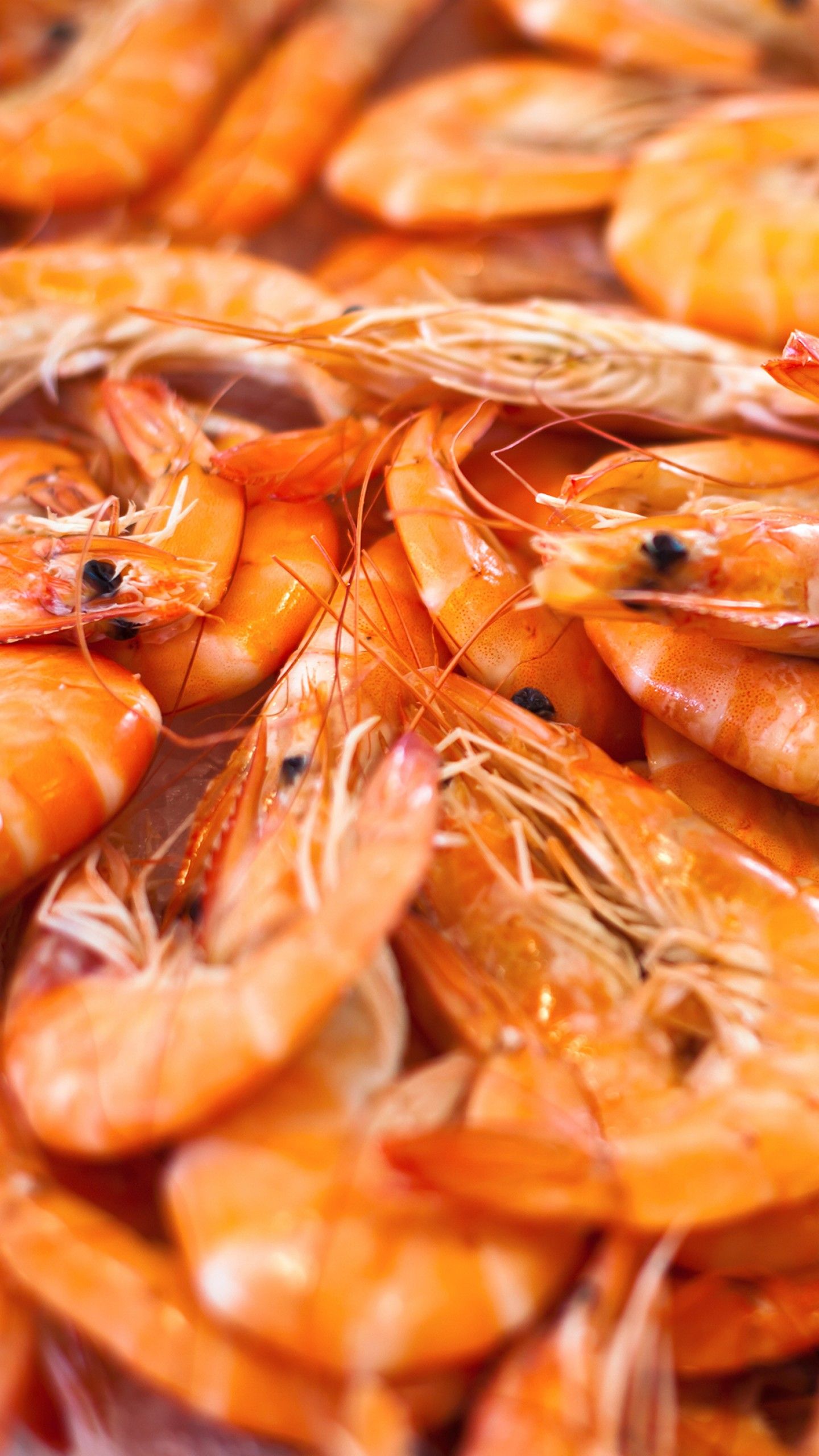 Wallpaper shrimp, Food