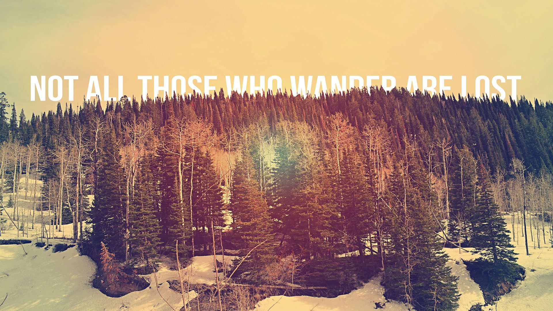 Not All Those Who Wander Are Lost [1920x1080]