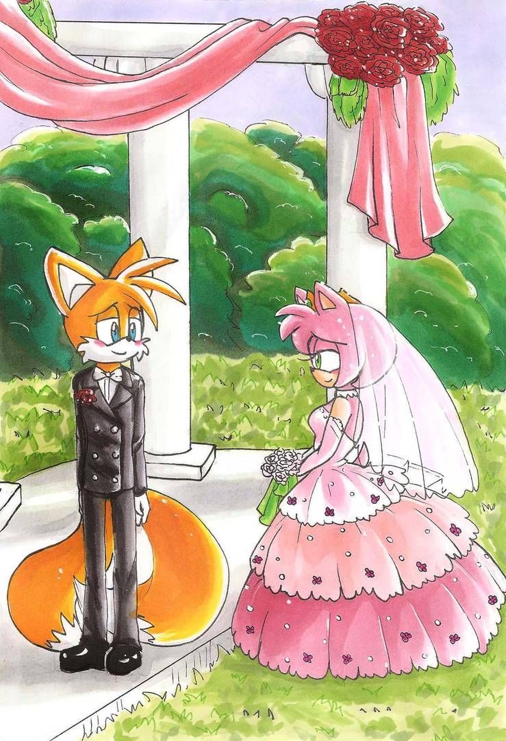 A Tails and Amy Wedding by hopelessromantic721.