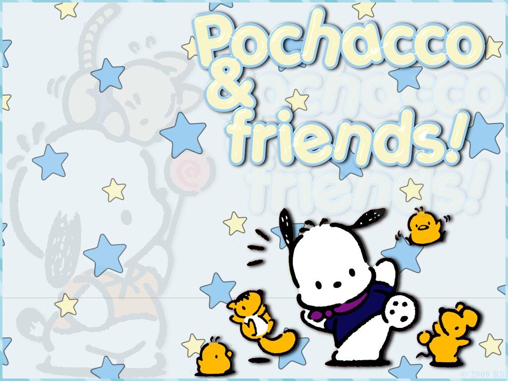 Pochacco Wallpaper