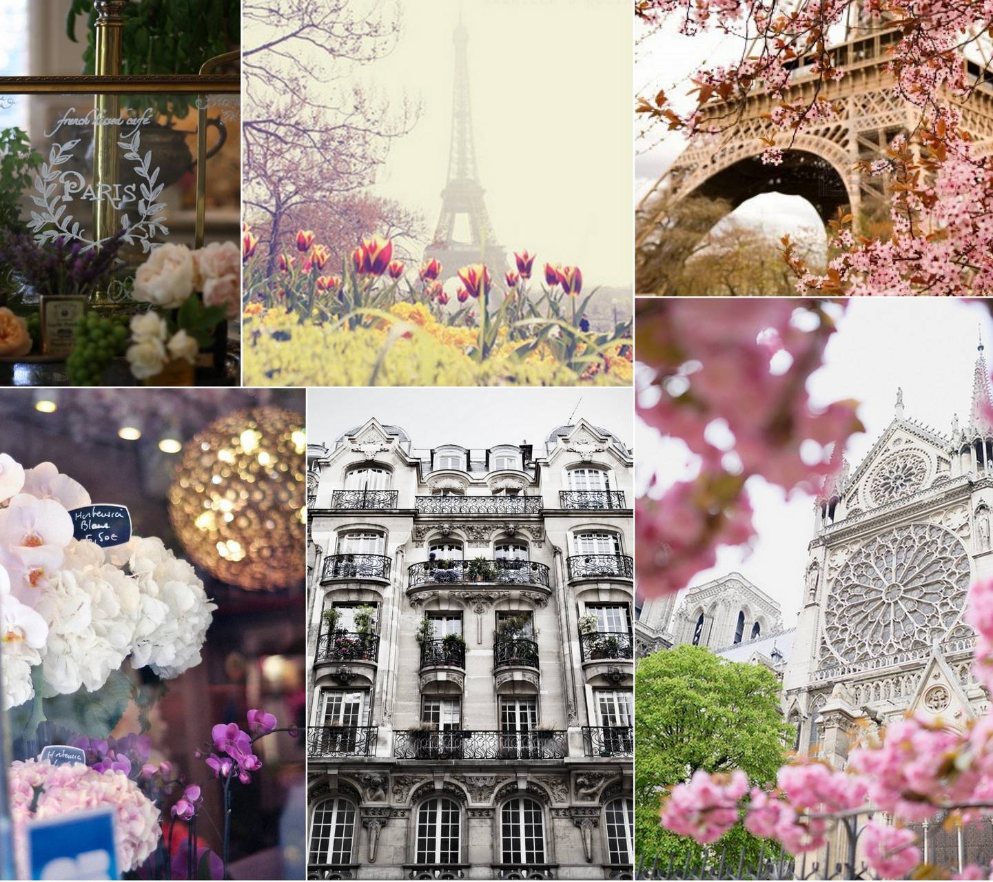 Paris in the Spring wallpaper