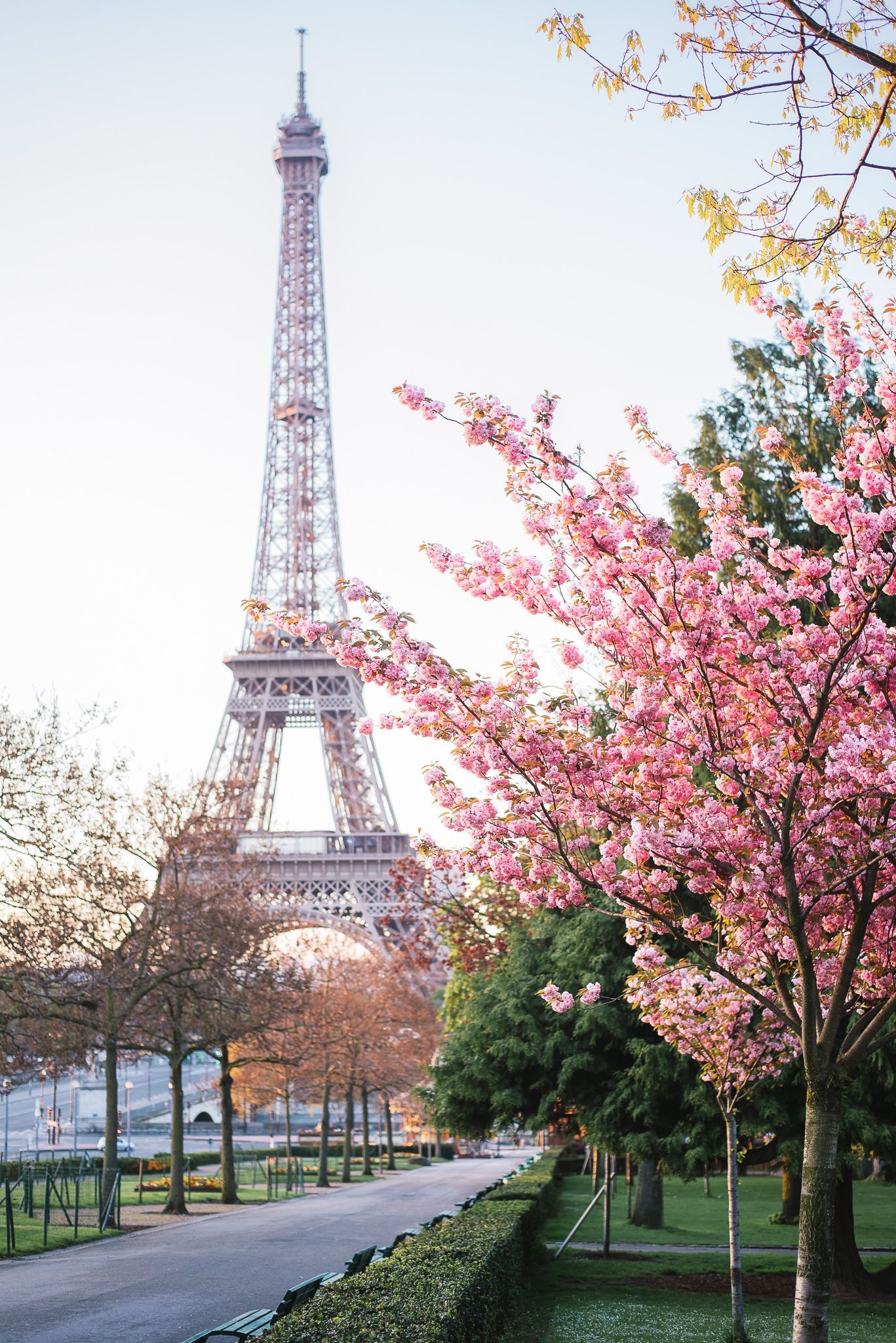 Il y a quelque chose d'hypnotique de París. (There's something hypnotic about París.). Paris in spring, Paris, Paris travel