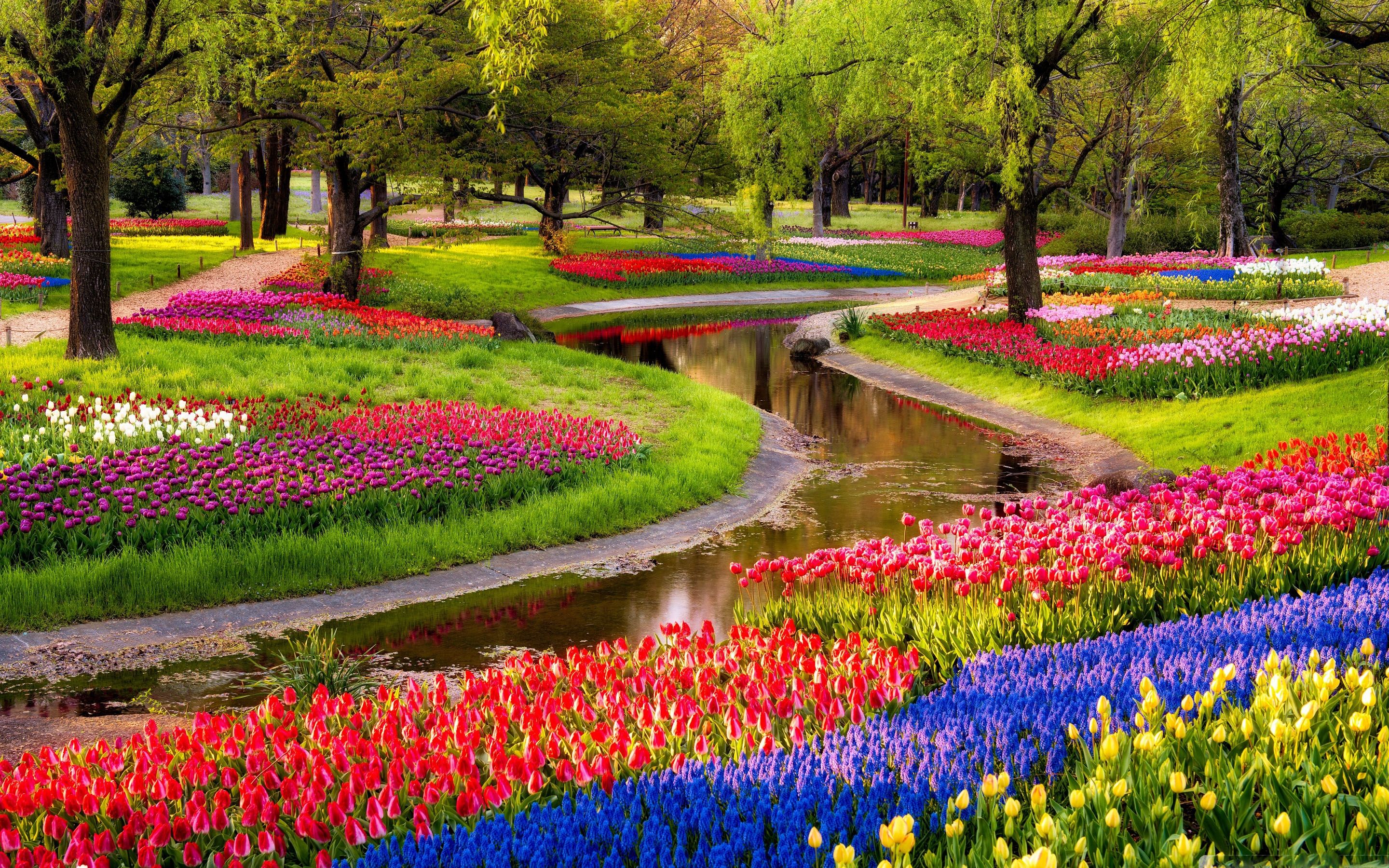 Beautiful Spring Garden MacBook Air Wallpaper Download