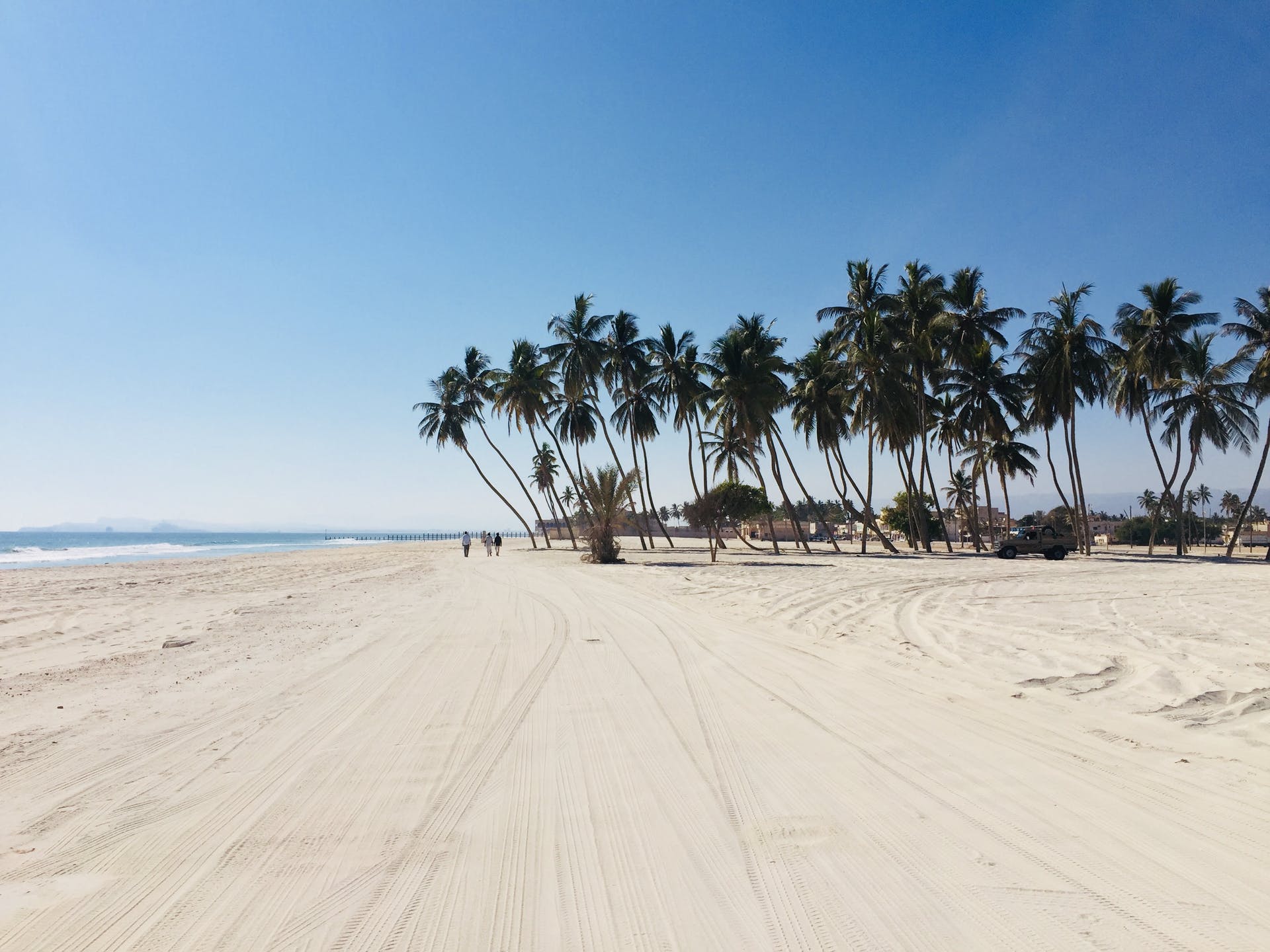 Beach Salalah Palm Trees