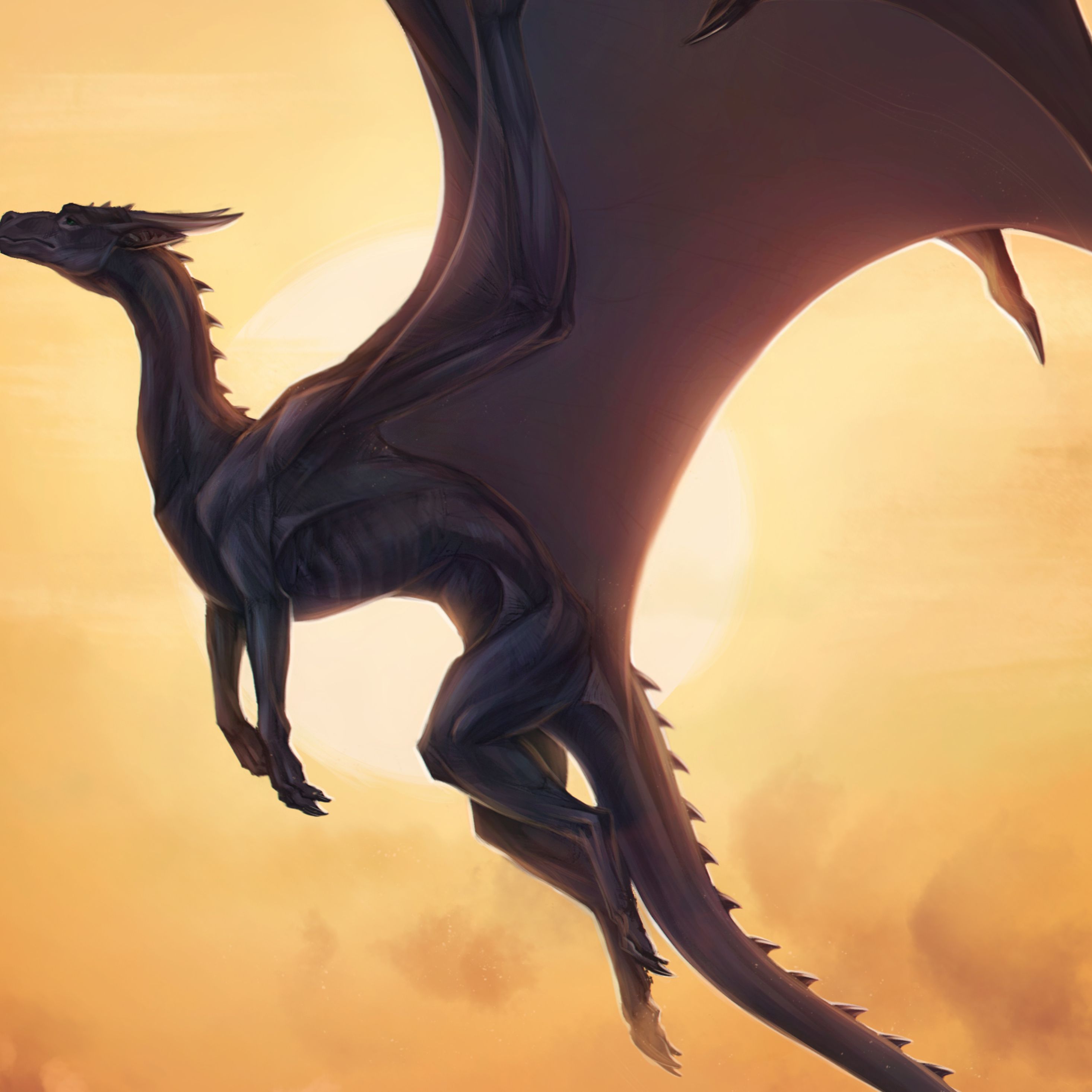Big Dragon Opened Wings iPad Pro Retina Display HD 4k Wallpaper, Image, Background, Photo and Picture