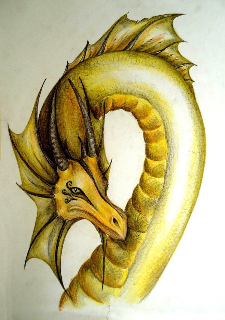 Yellow Dragon. Yellow dragon, Dragon, Dragon drawing