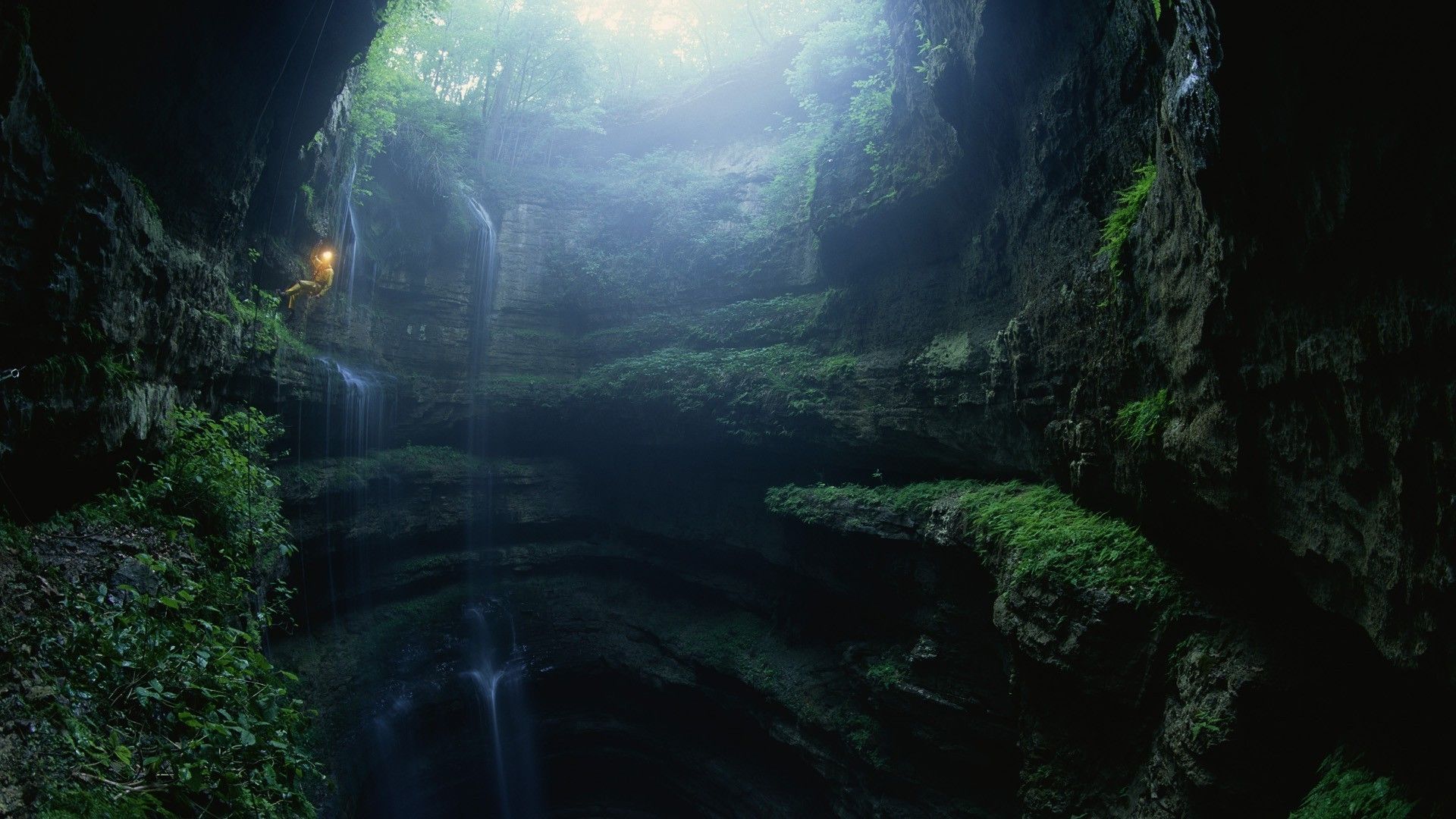 Cenote Wallpaper