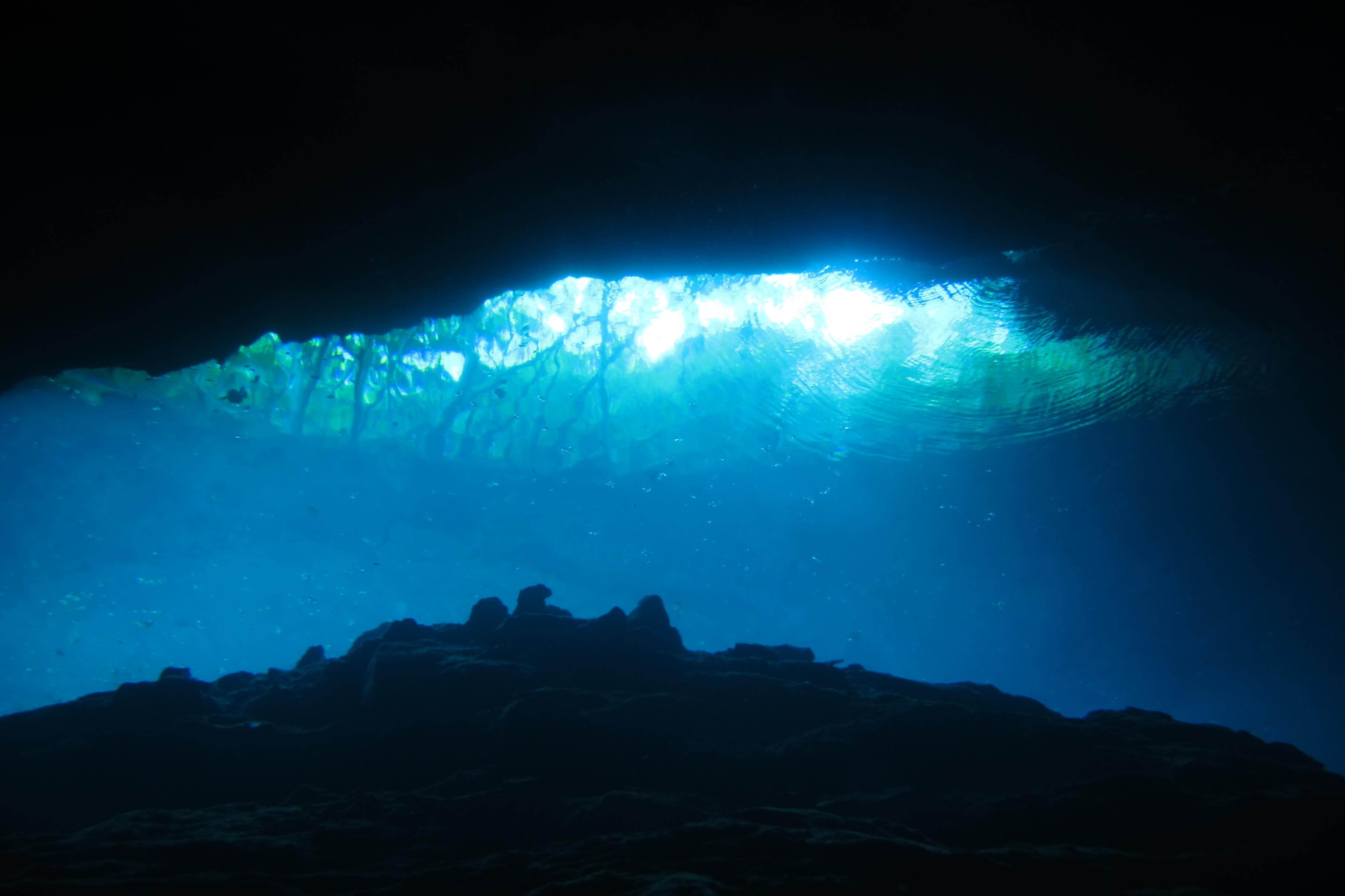 Two Tanks Cenotes Excursions Diving Riviera Maya