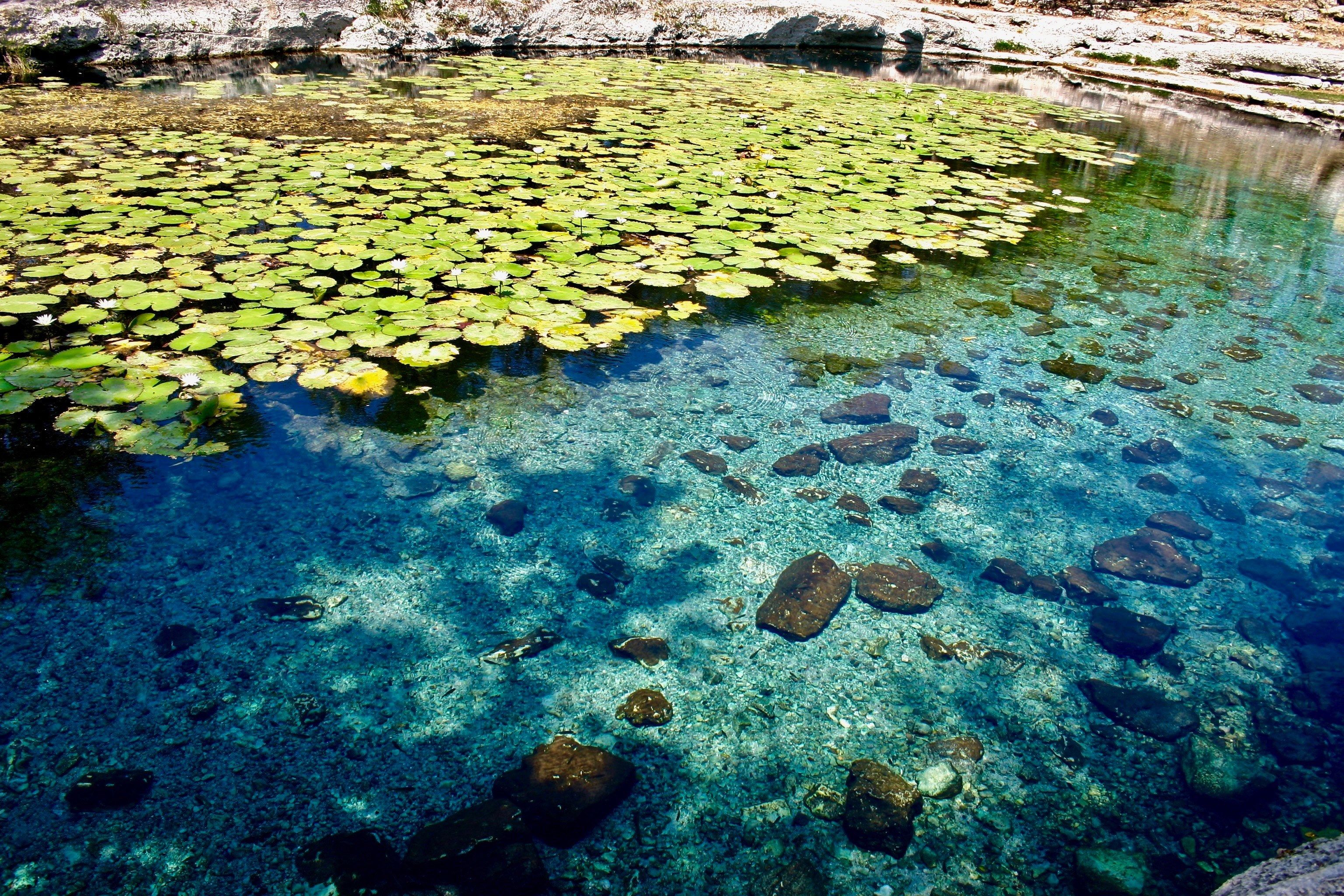 Cenote Wallpapers - Wallpaper Cave