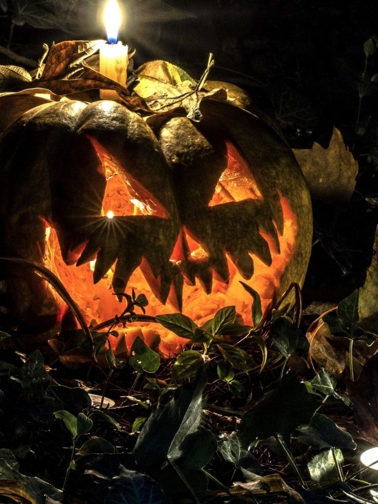 Download 768x1024 Halloween, Pumpkin, Autumn, Night, Creepy Wallpaper for Apple iPad Apple iPad Mini