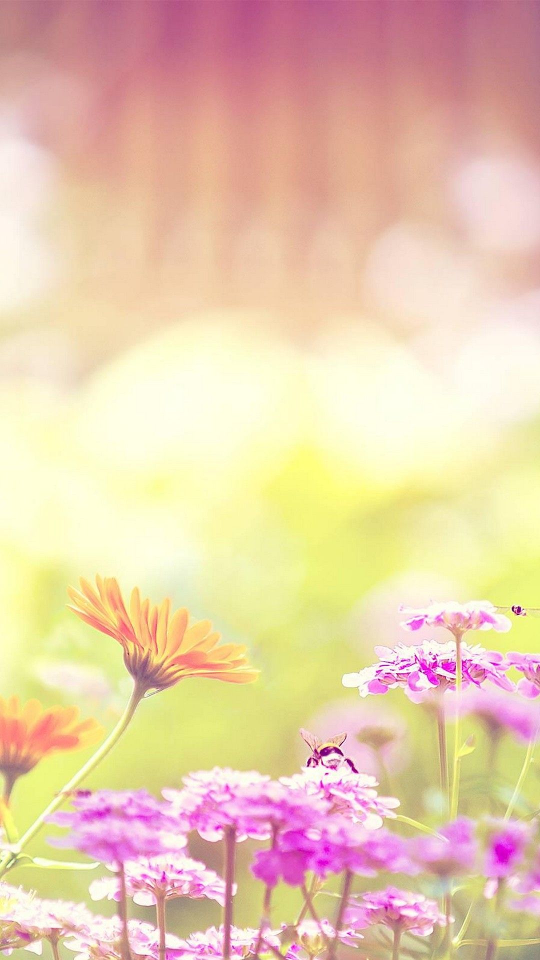 Hello Spring Wallpaper For Android Android Wallpaper