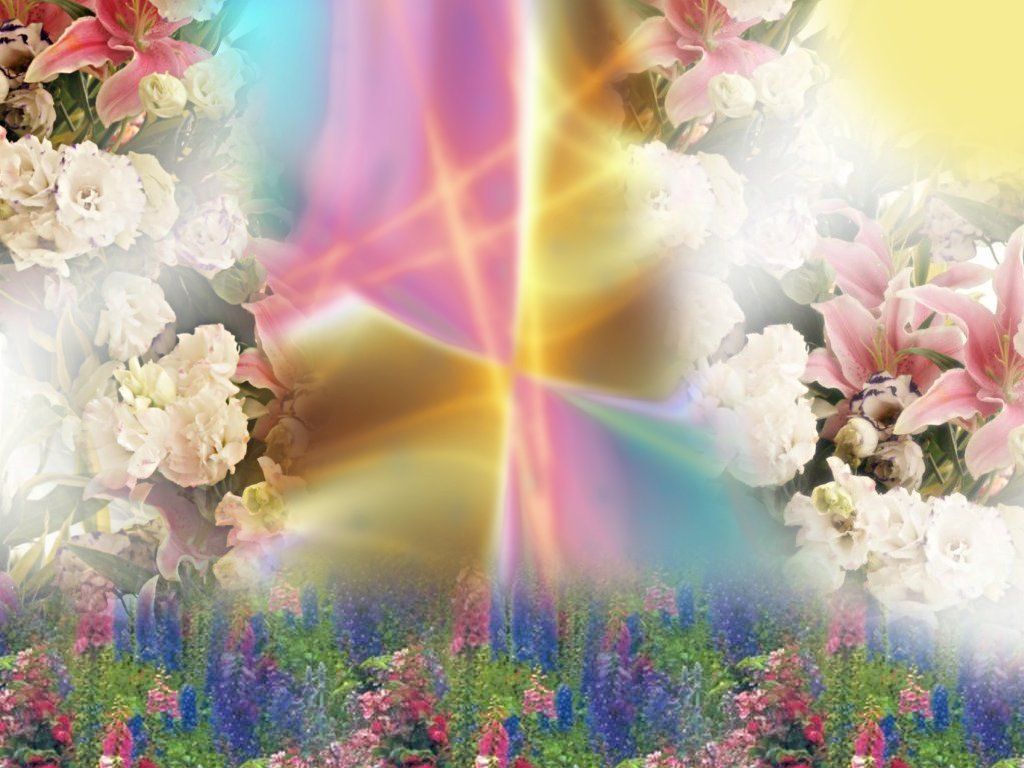 Beautifully Colorful. Spring magic, Spring wallpaper, Flower desktop wallpaper