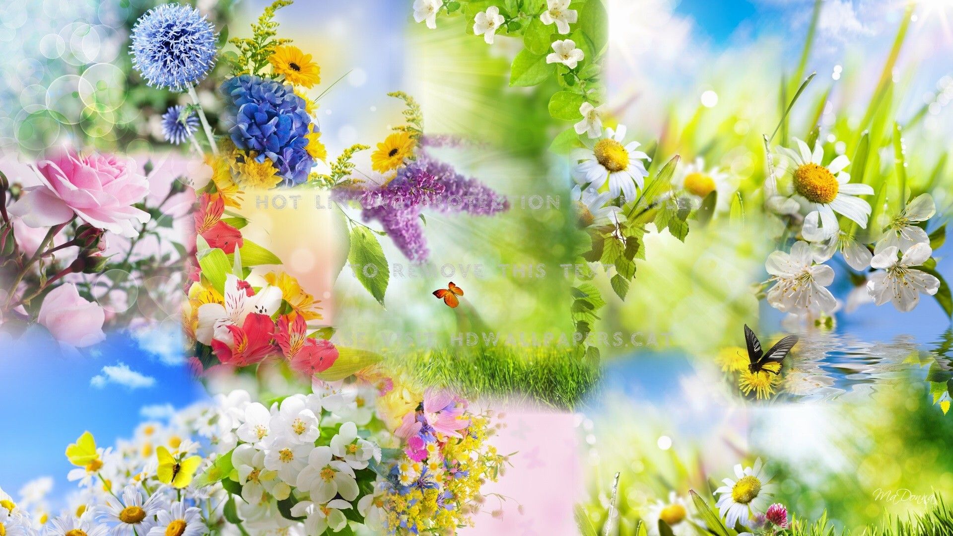 spring collage abstract fragrant colorful