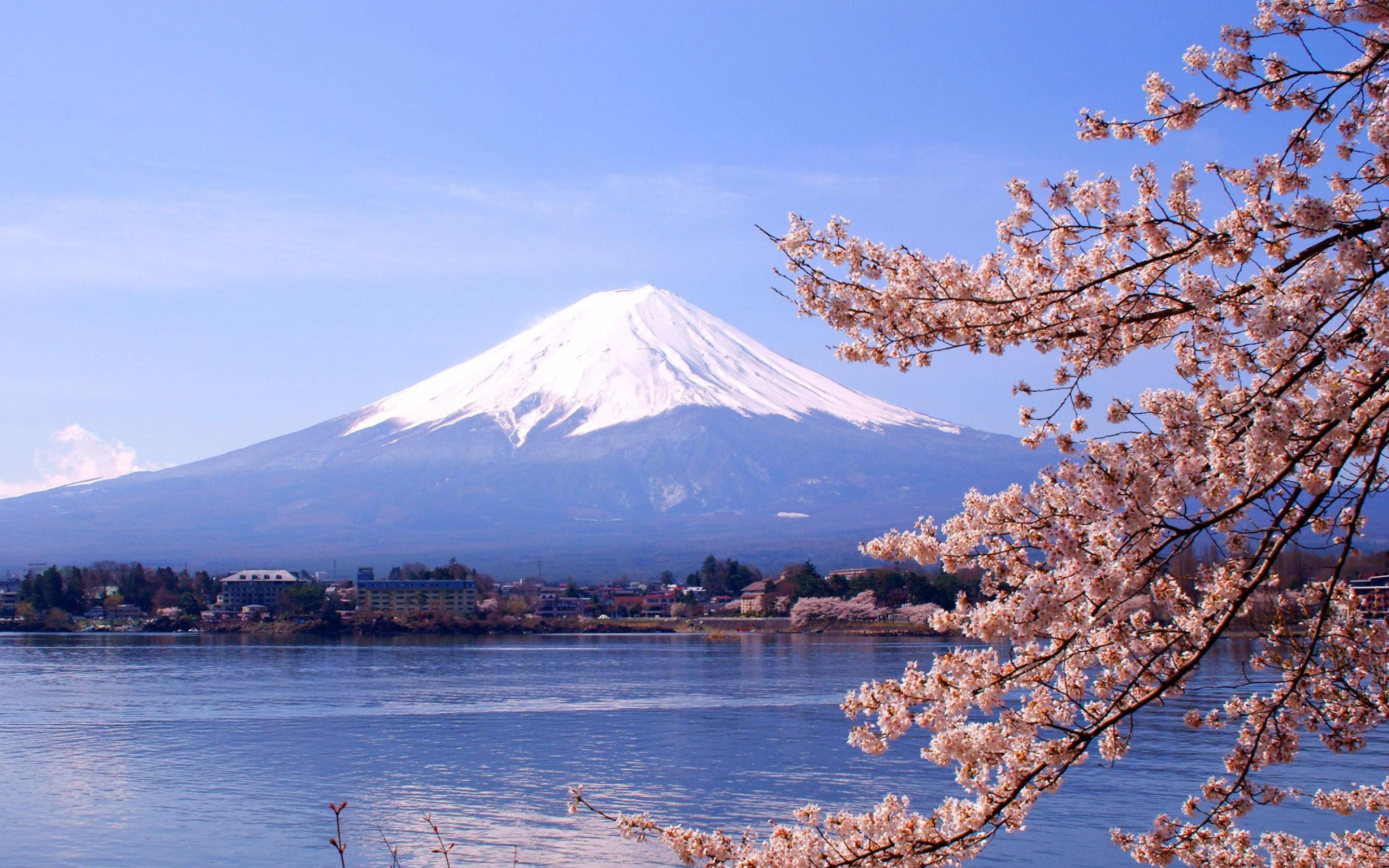 Mount Fuji Beautiful Scene