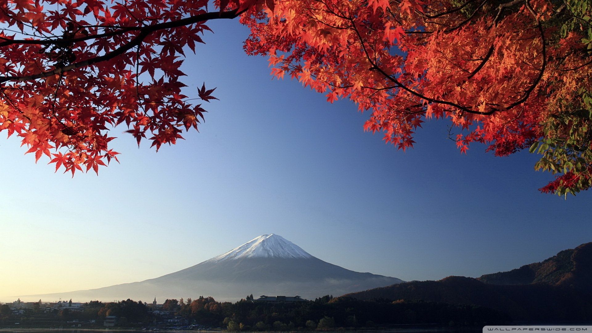 Download Autumn Mount Fuji Japan Wallpaper 1920x1080
