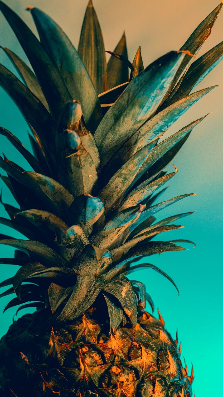 Wallpaper Pineapple, Fruit, Exotic, Tropical iPhone Wallpaper HD