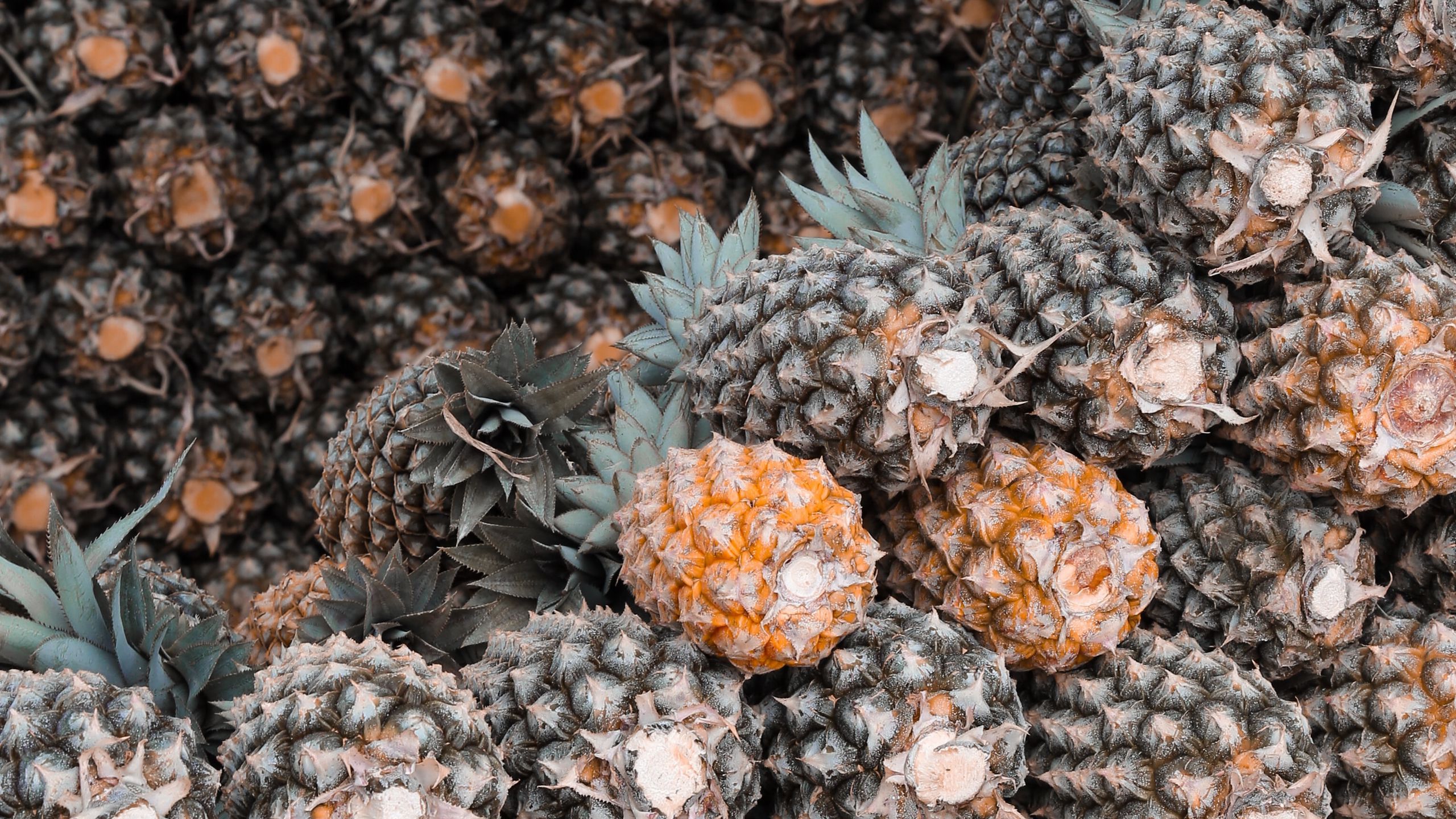 Tropical Fruit Wallpapers Wallpaper Cave