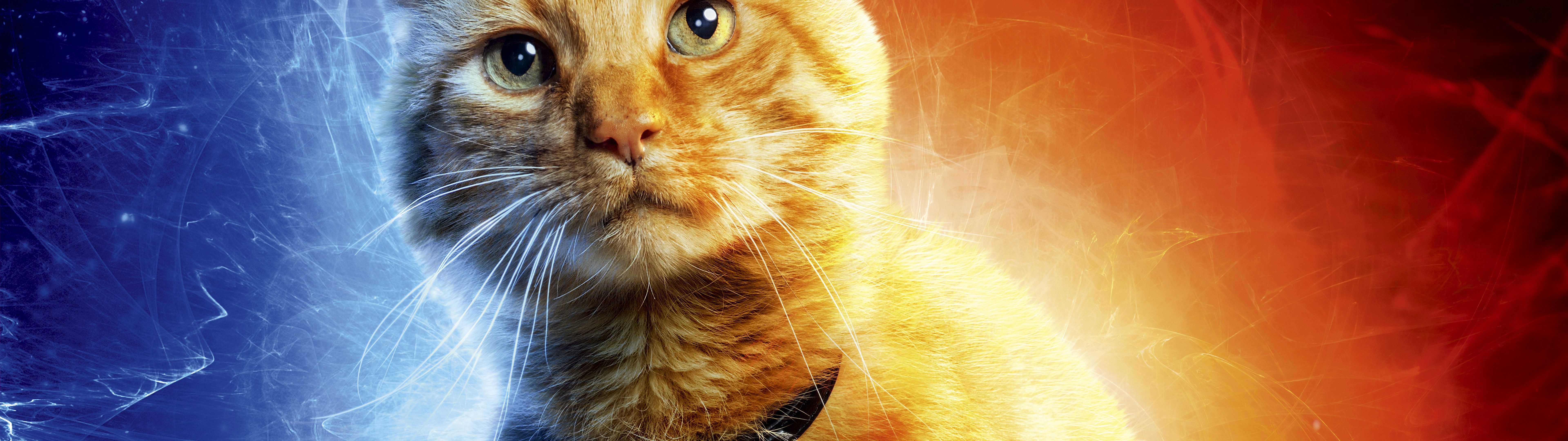 Captain Marvel, Movie, Goose The Cat, 8k, Captain Marvel