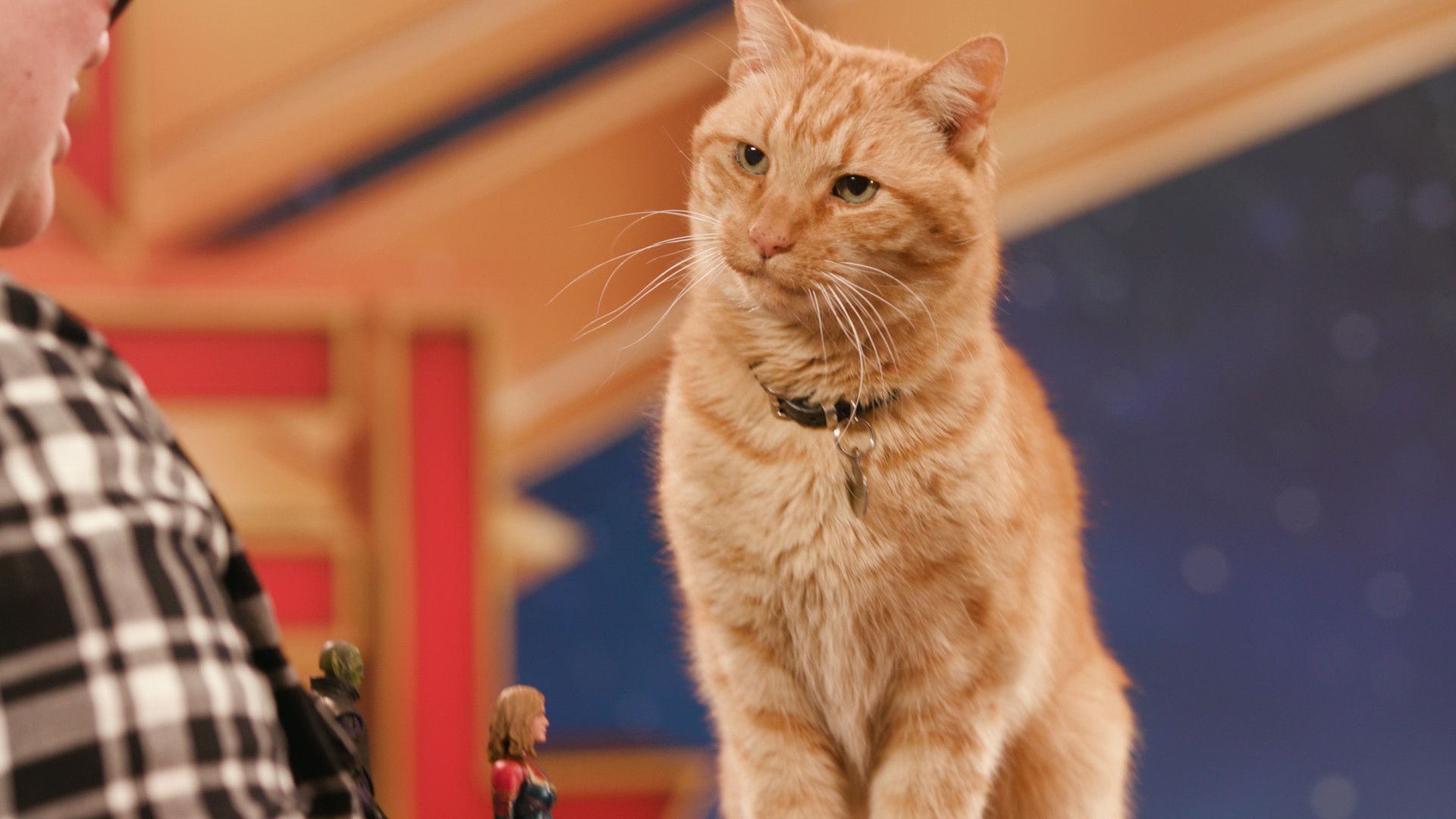 Captain Marvel's' breakout cat on his favorite costar and 'Avengers: Endgame' theories